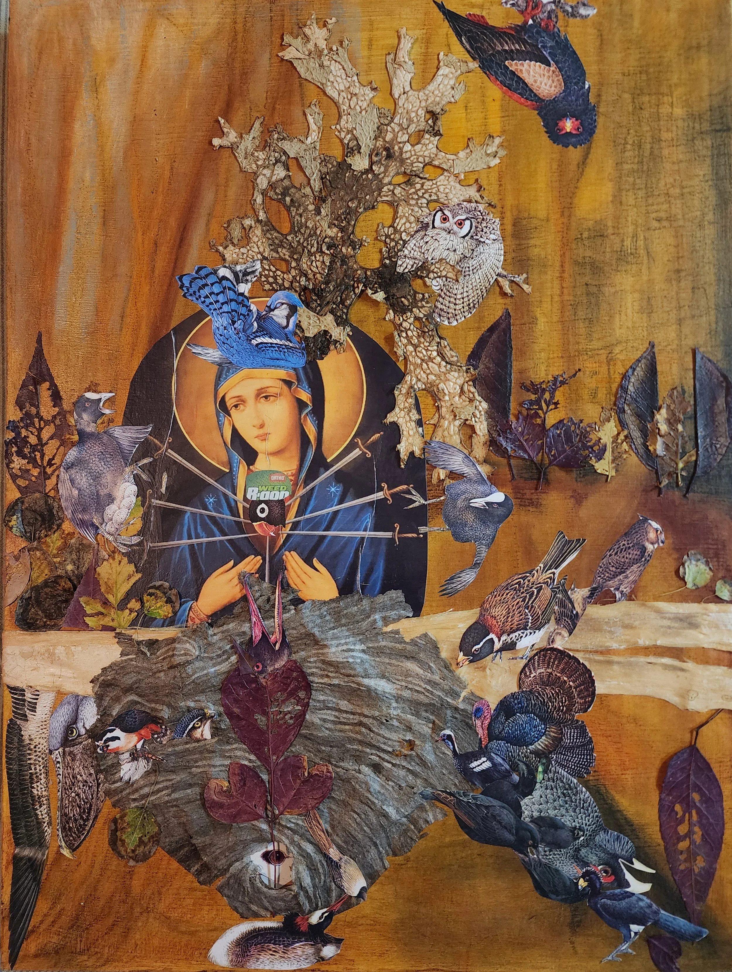 Woman with a Weed-B-Gone heart  -  18x24"  collage on wood panel including paper wasp nest and lichen