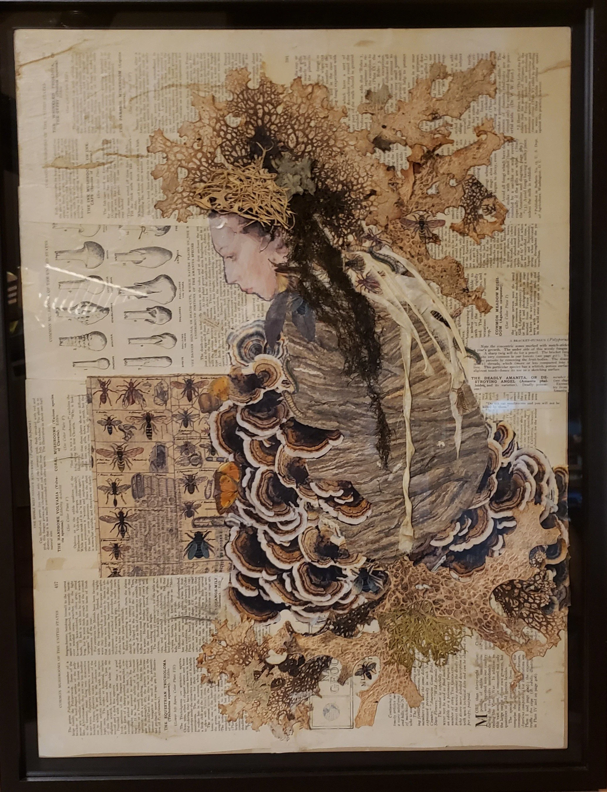 An artistic collage featuring a woman's profile with her hair composed of dried, lacy leaves, twigs, insects, and mushrooms, set against a background of old newspaper articles and illustrations of various insects.