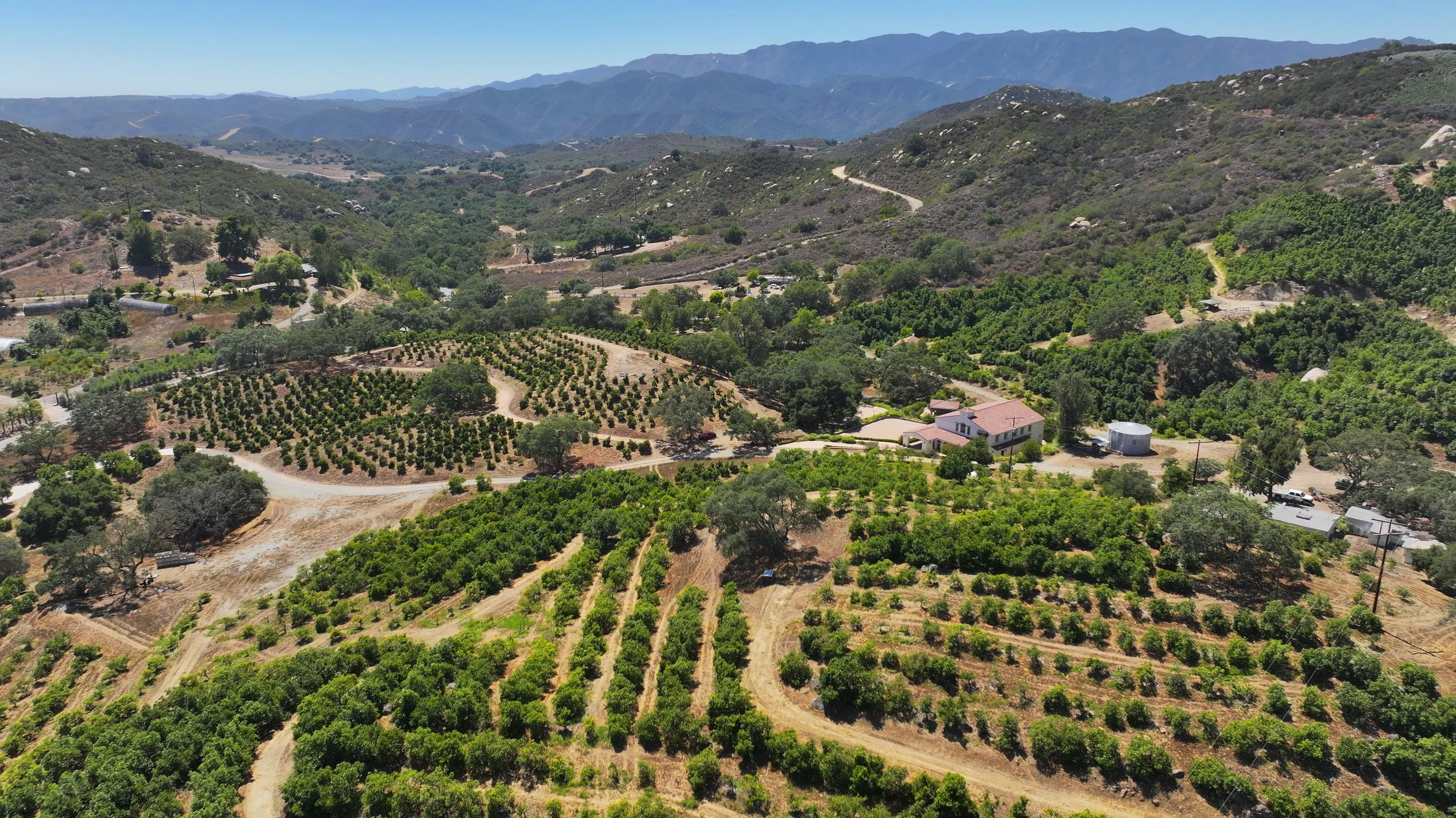 DJI_20250729144436_0044_D.JPG