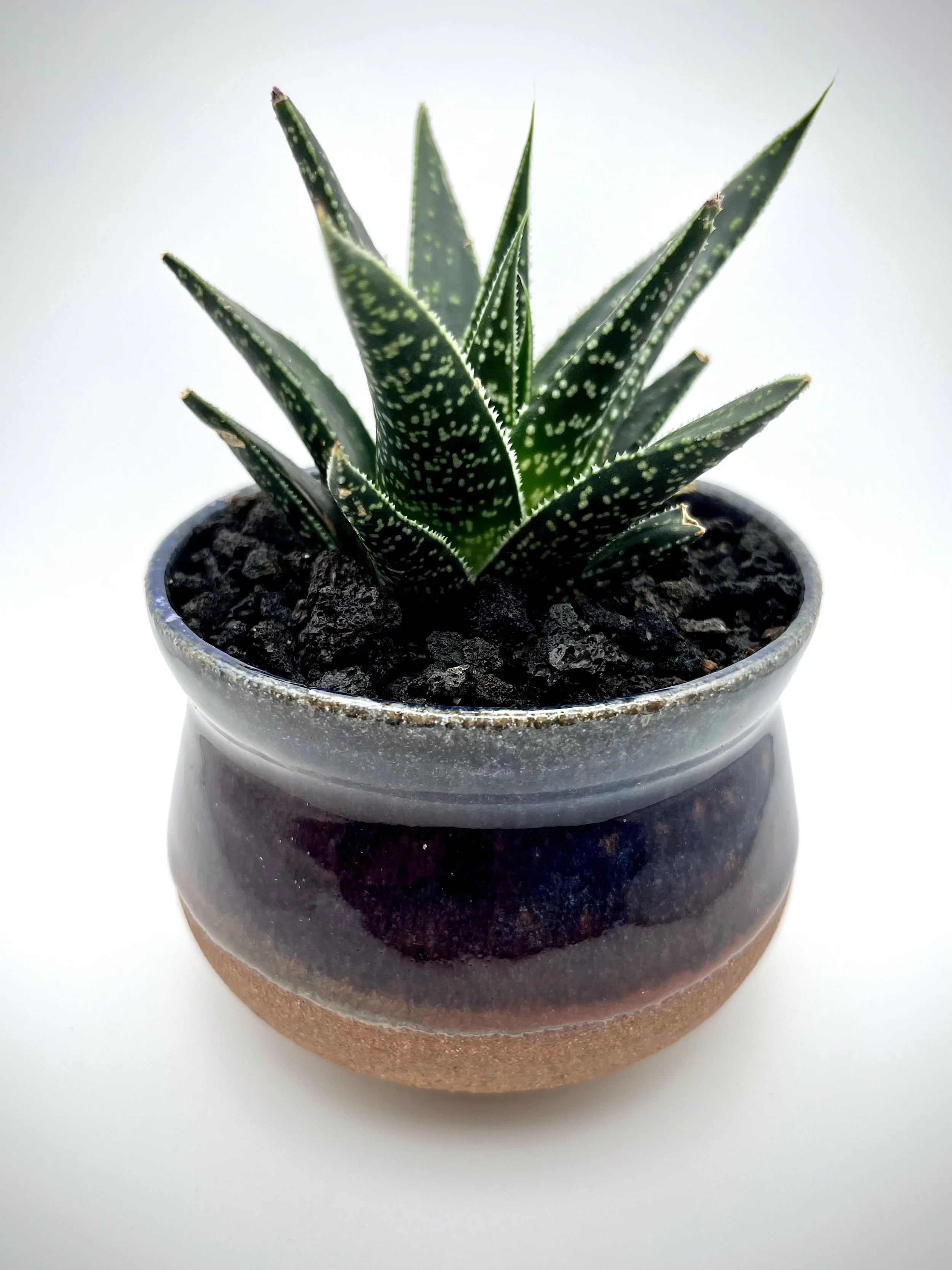 Purple Planter.jpg