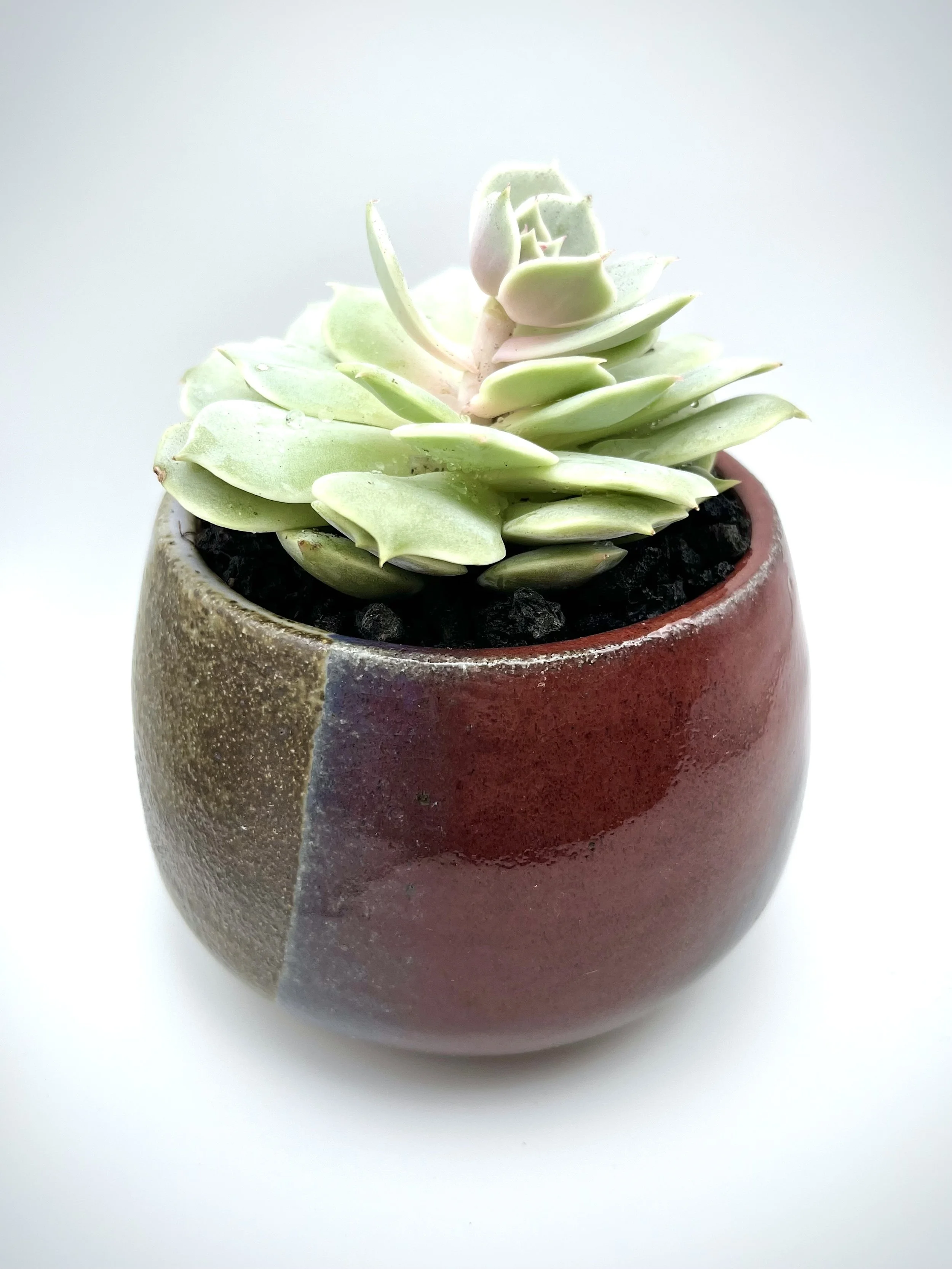Red Planter.jpg