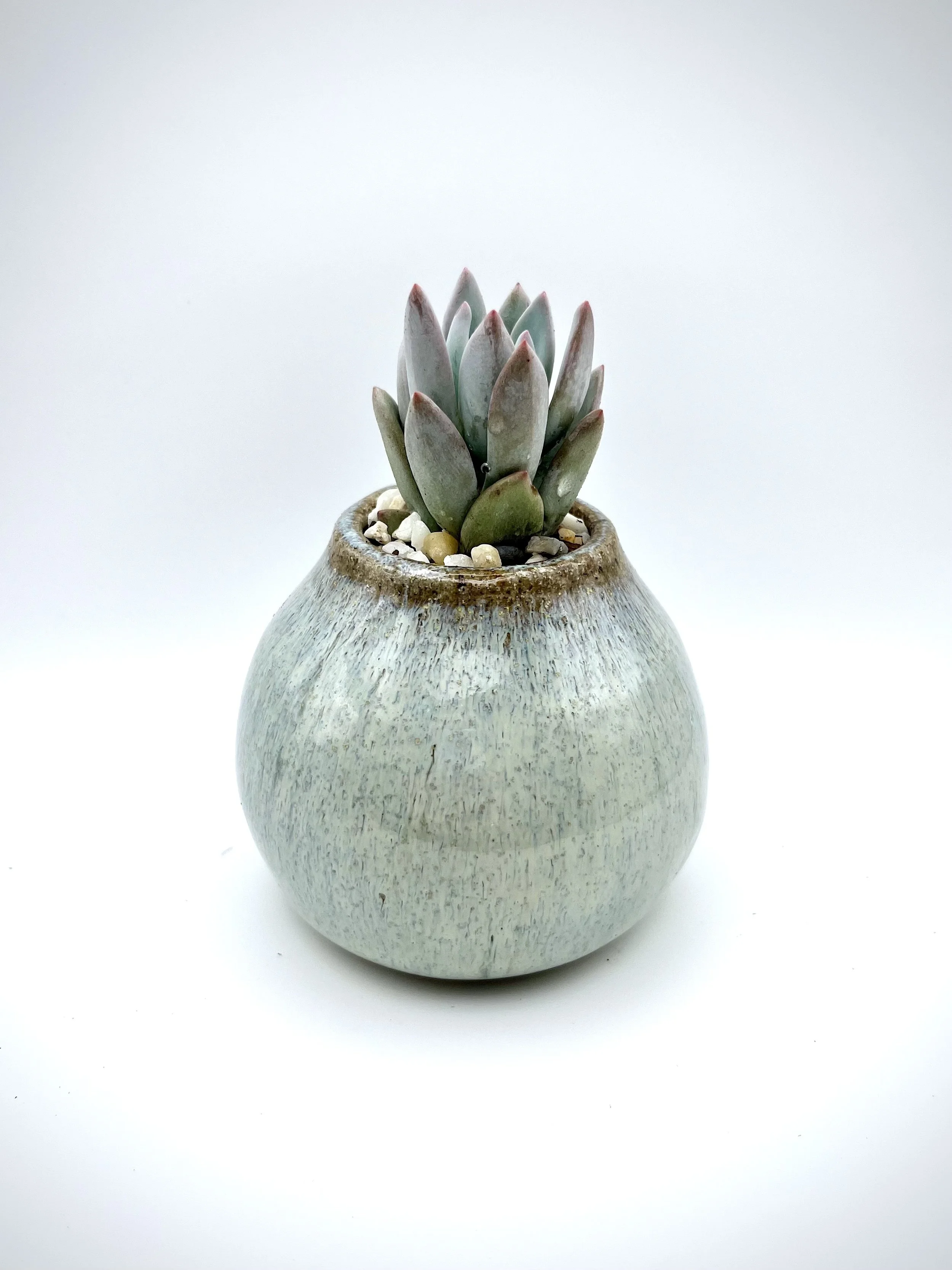 Little Blue Planter.jpg
