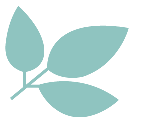Quin Dental leaf icon