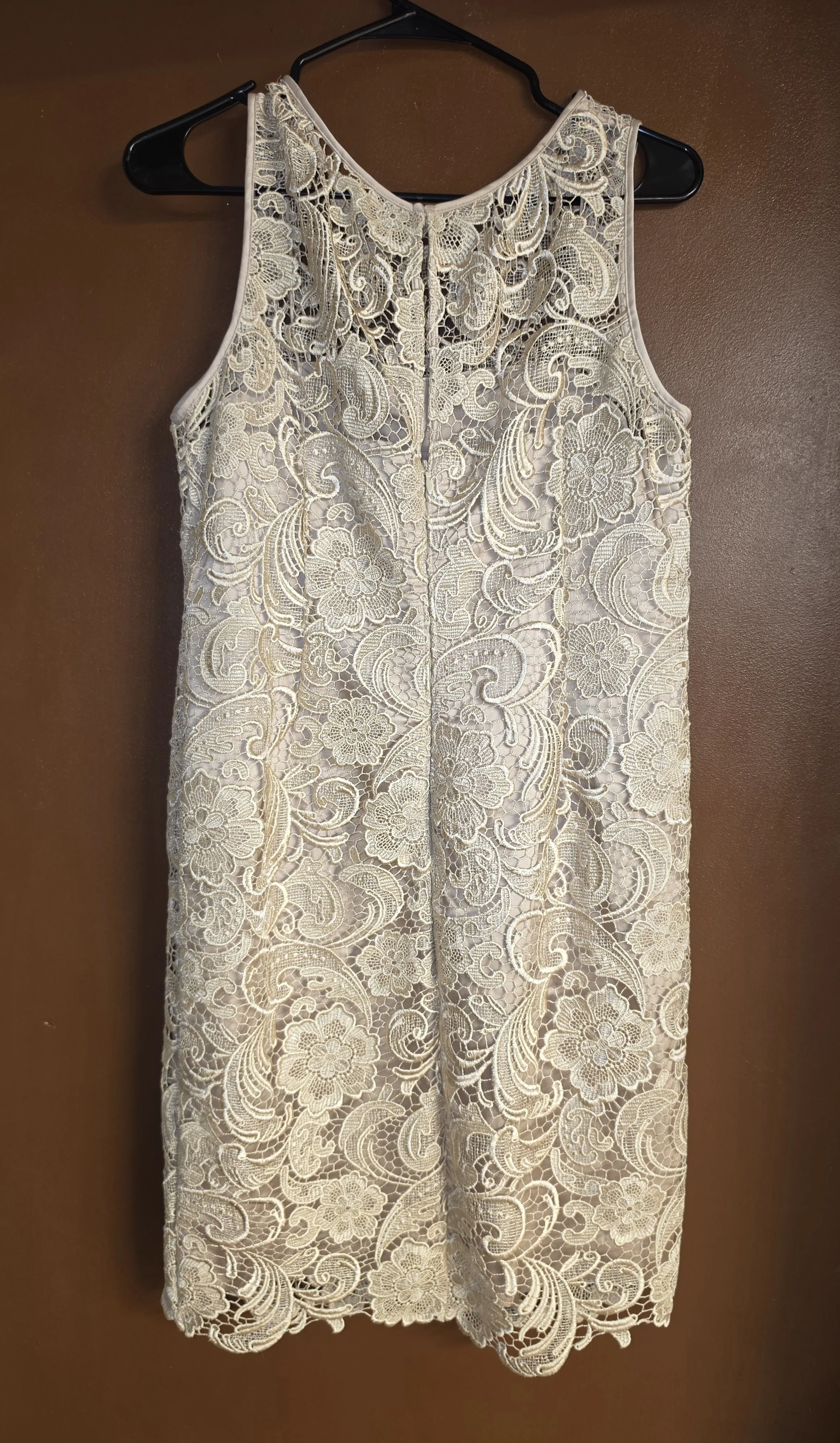 Adrianna  Papell Dress: Size 12