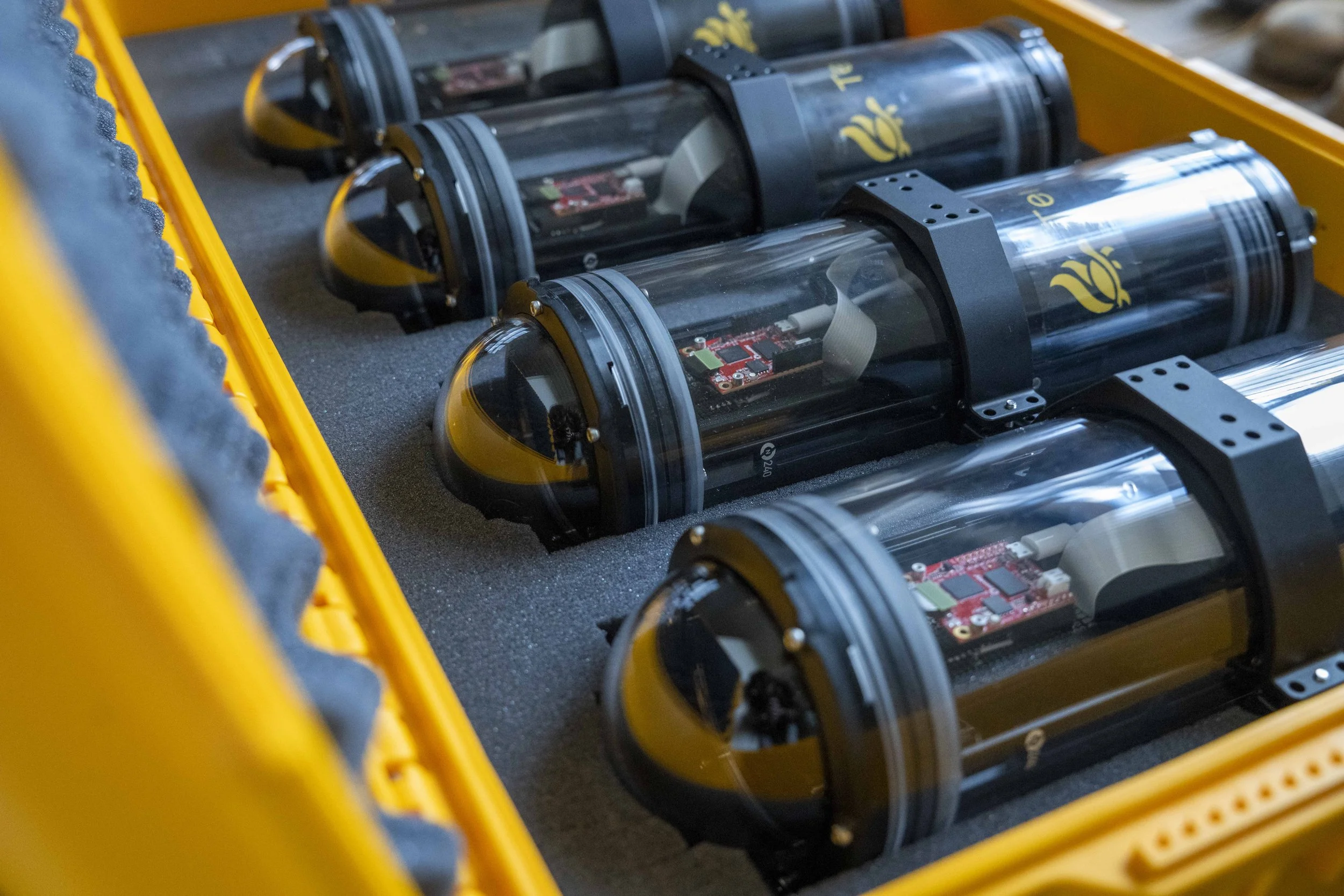 A box full of Terrapin 1 aquatic camera traps, or underwater trail cameras,