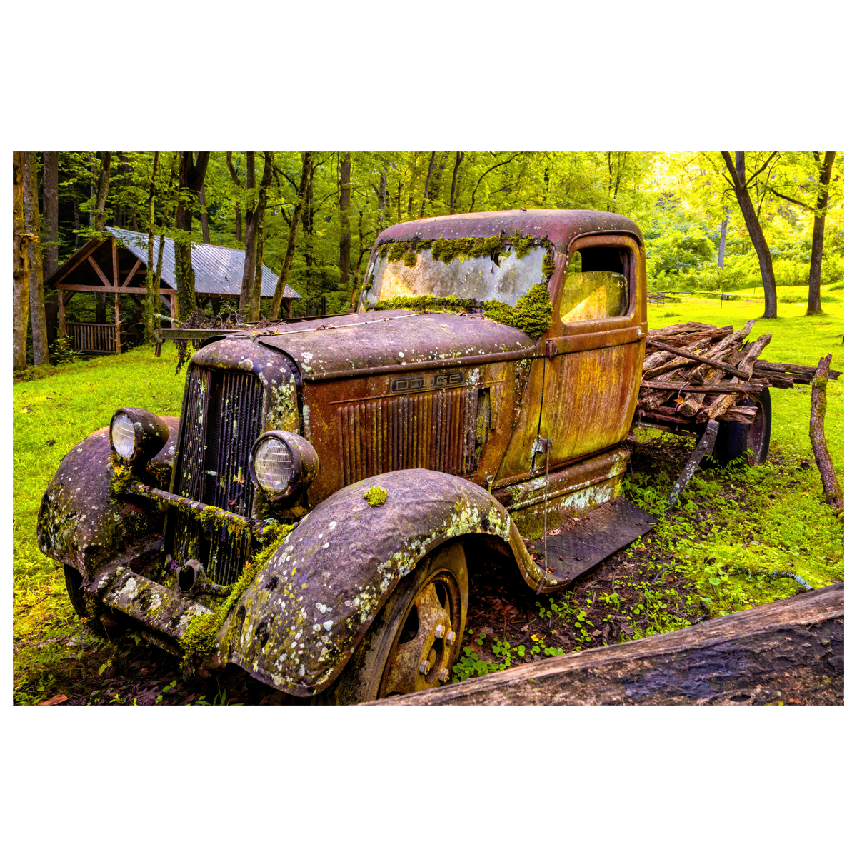 Timeless Vintage Truck - wall art print