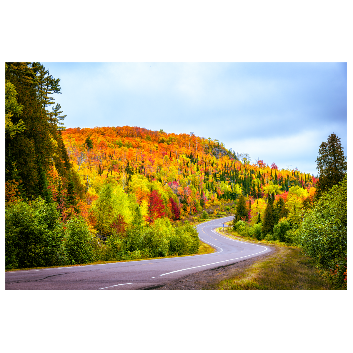 The Hills are Alive - wall art print