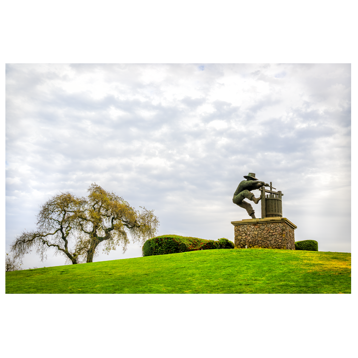 The Grape Crusher - wall art print