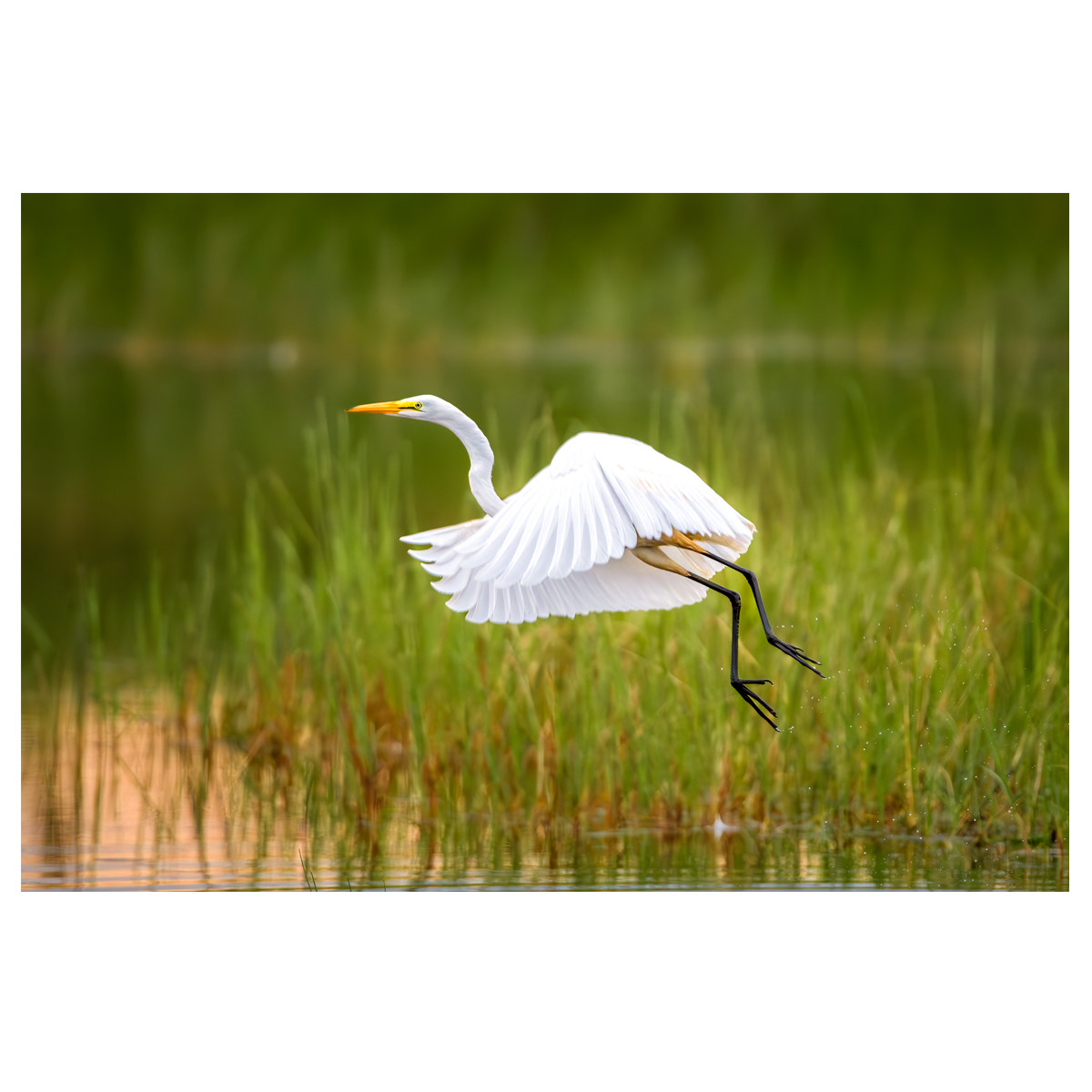 Takeoff - wall art print
