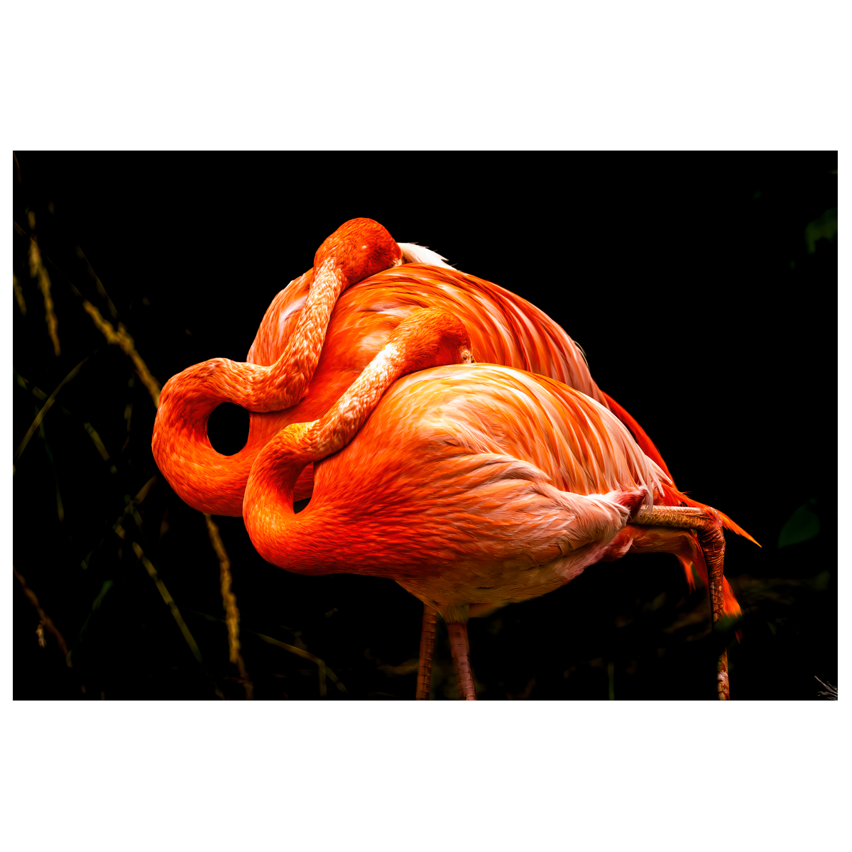 Siesta - wall art print