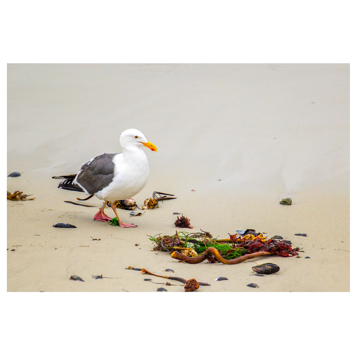 Beach Walk - wall art print