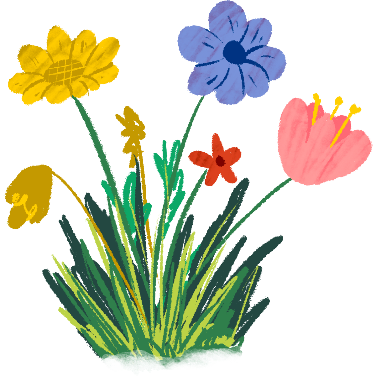 Colorful illustration of various flowers, including a yellow daffodil, a blue flower, a pink lily, and a small red flower, with green leaves and stems.