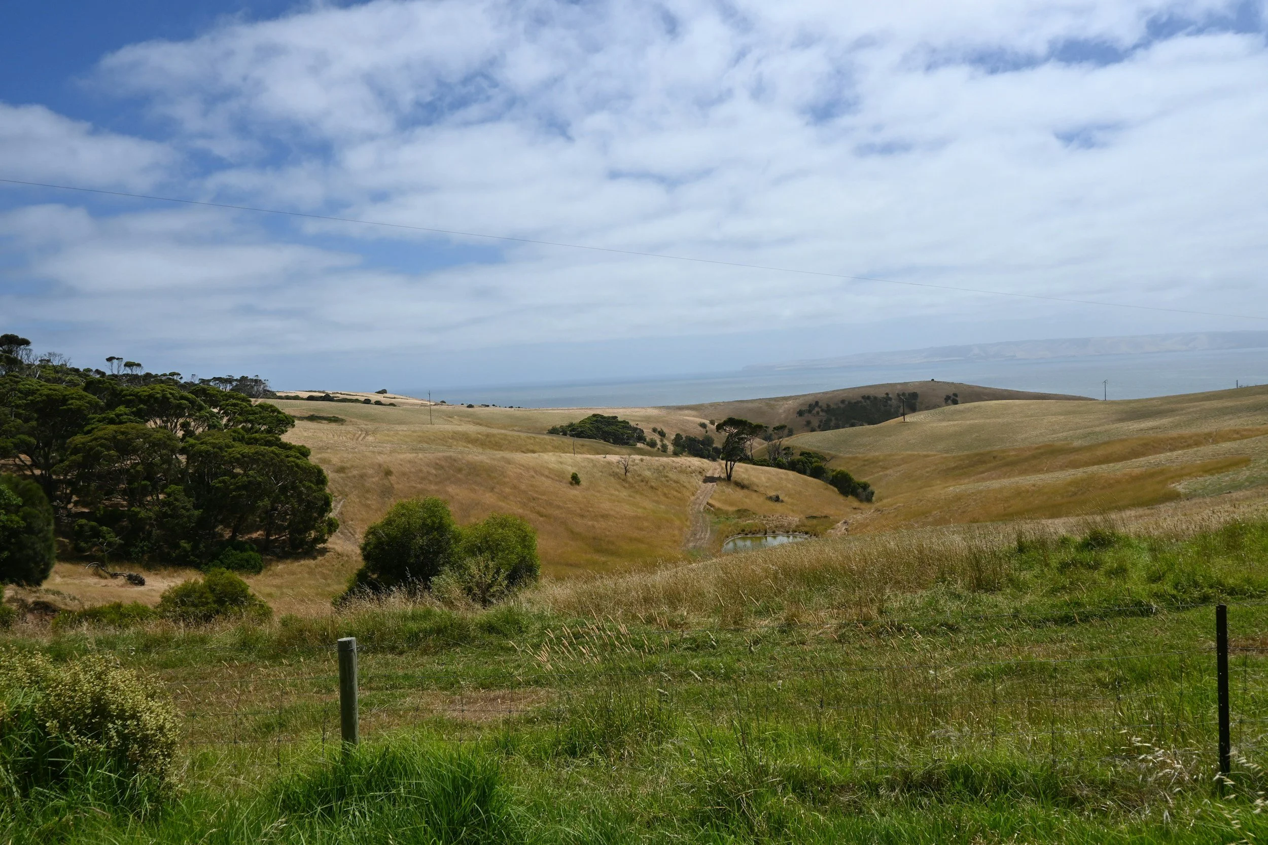 Rolling hills with patches of green trees and grass, a small pond, and a blue sky with scattered clouds.