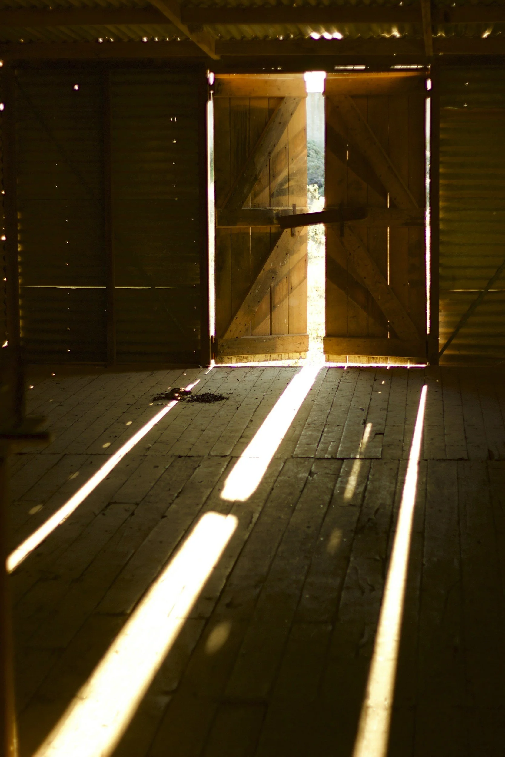 Sunlight coming through the gaps in wooden barn doors, casting bright lines on the wooden floor inside the barn.