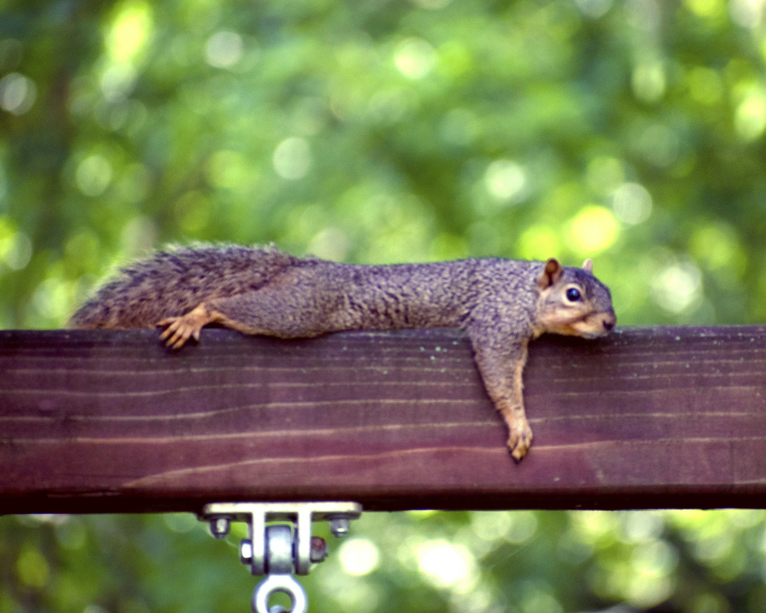 Dealing with Sticky Summers? How to Lower Indoor Humidity in Your Home