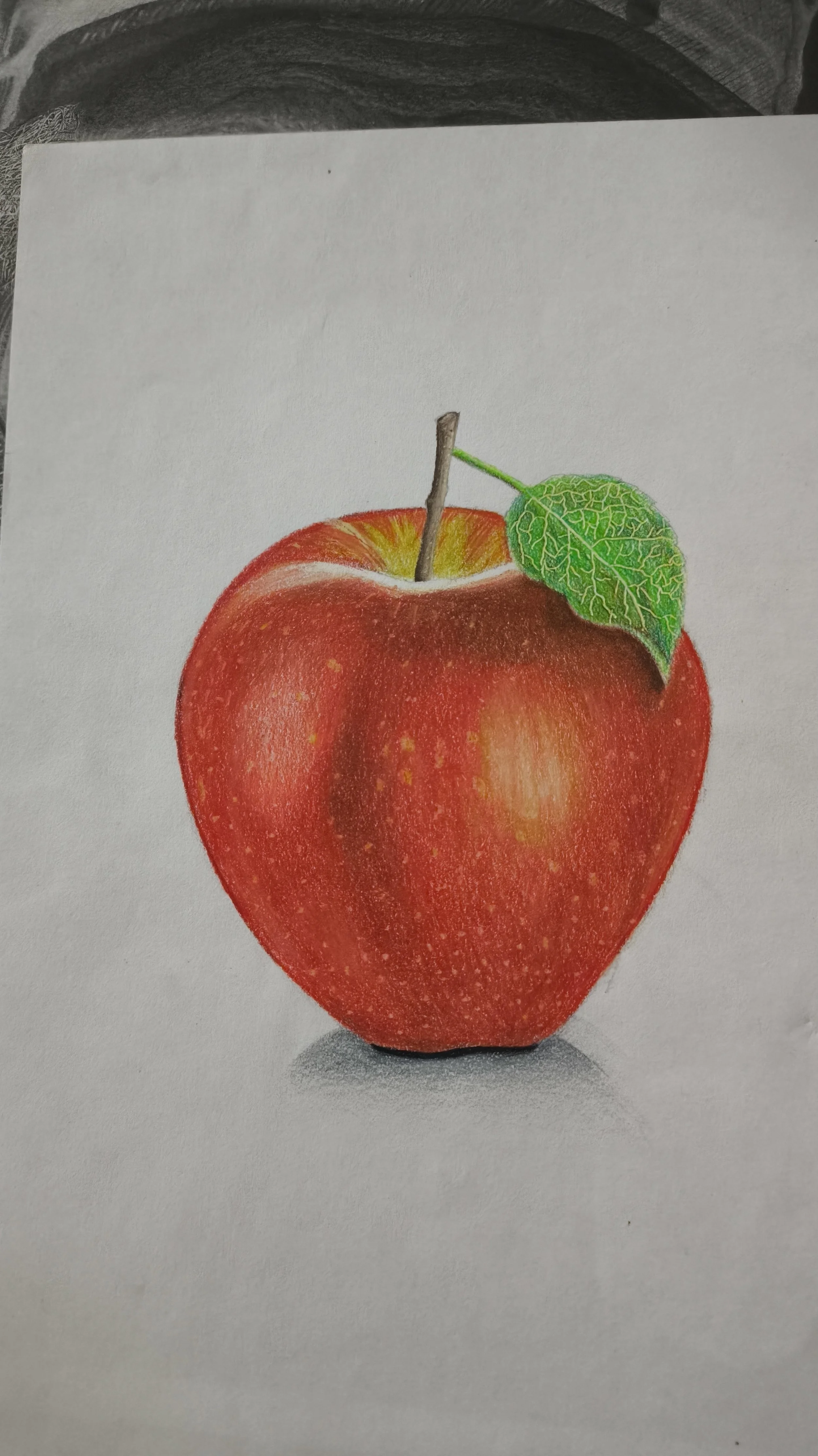 Manzana / Técnica: Lapices de colores / Tamaño: A5 14.8x21 / Hoja: Firenze Drawing 140 grs