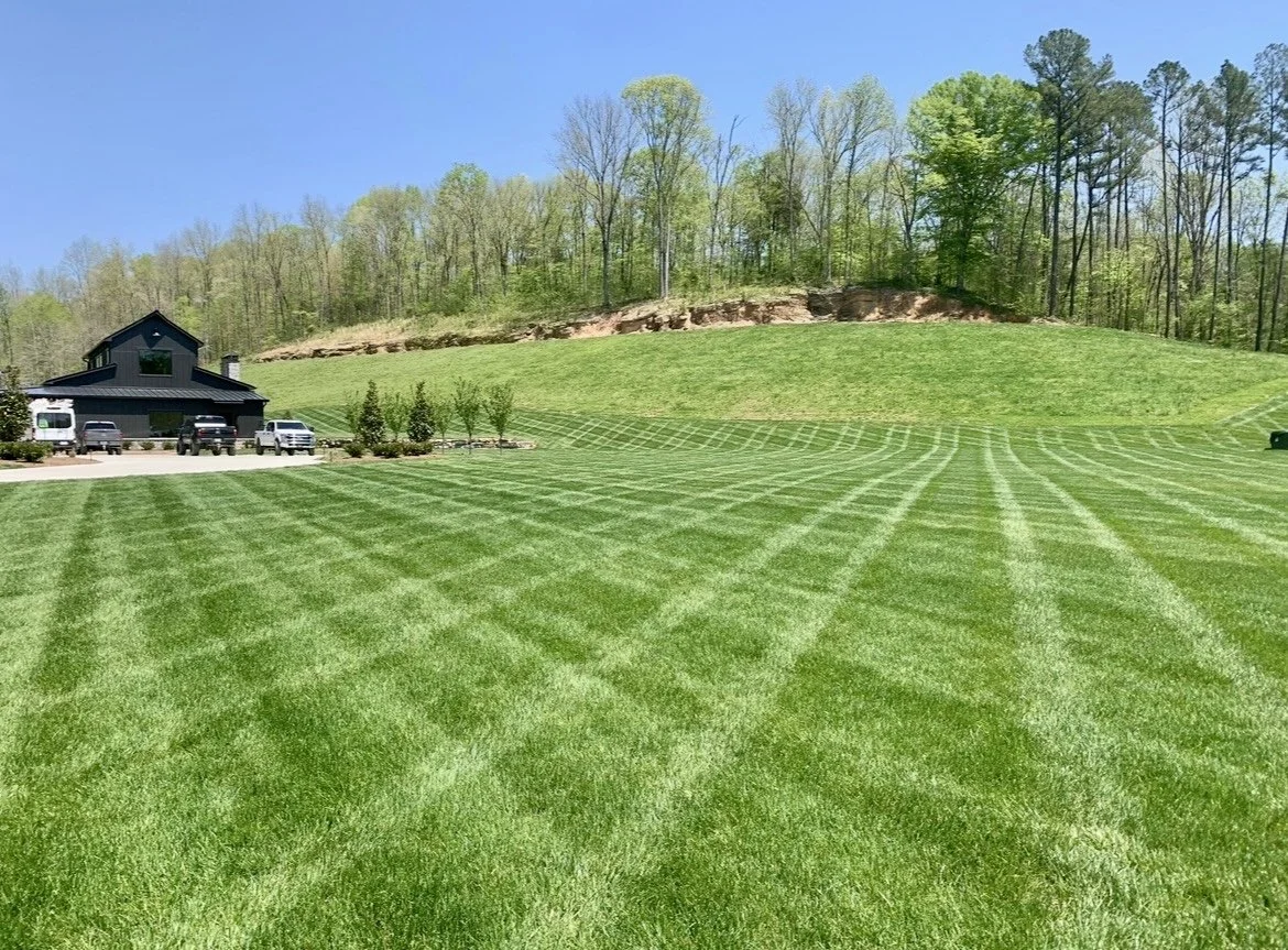 A manicured grassy lawn with striped mowing patterns, a black house with several parked cars, and a wooded hillside in the background on a clear sunny day.