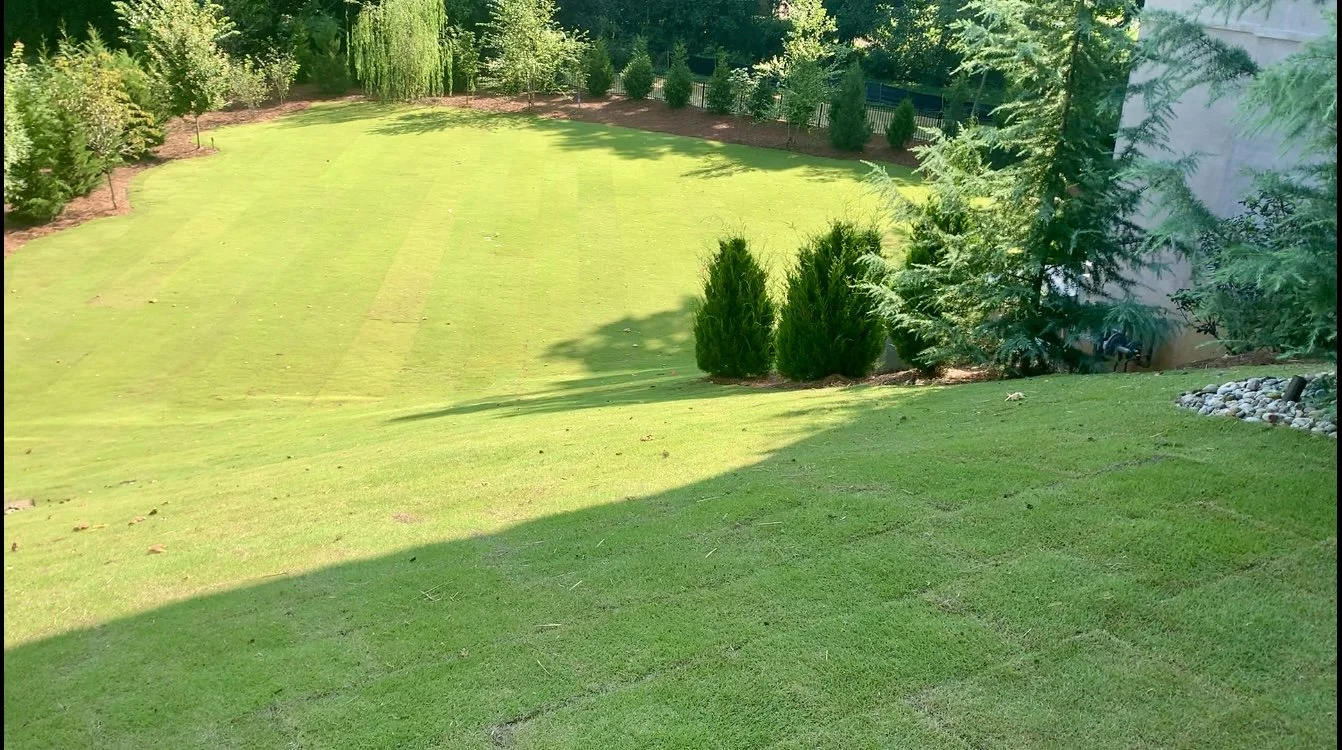 A backyard with a well-maintained green lawn, bordered by trees and shrubs, with a shaded area on the right side.