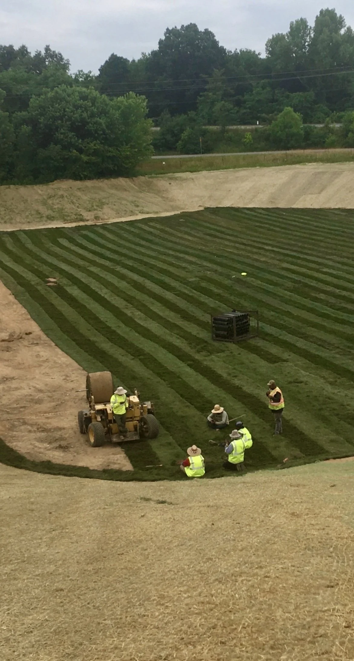 Workers planting new grass or turf on a field with a small machine, surrounded by trees and a road in the background.