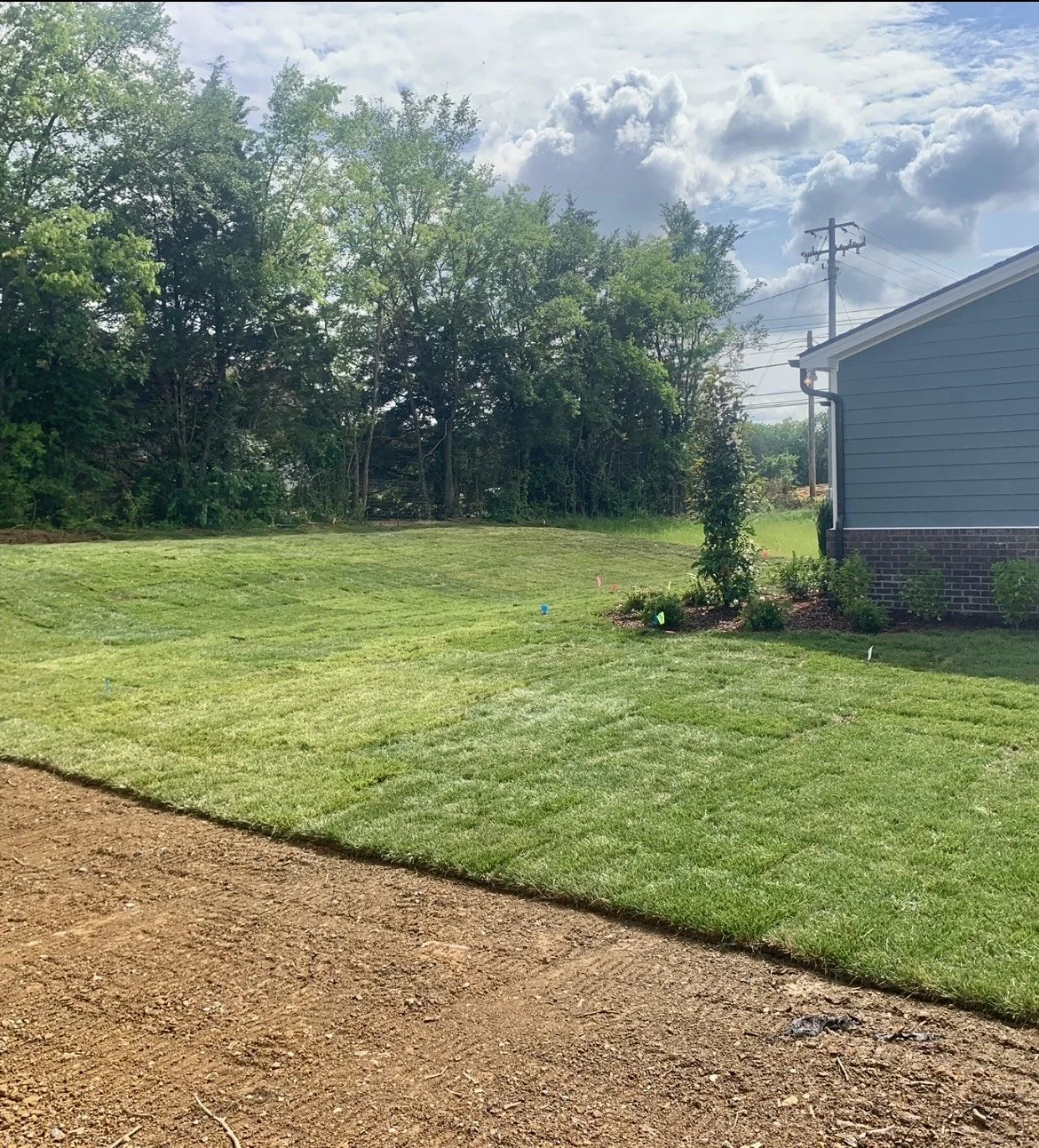 A neatly manicured lawn with fresh grass and small plants near a house, backdropped by trees and a blue sky with scattered clouds and electrical poles.