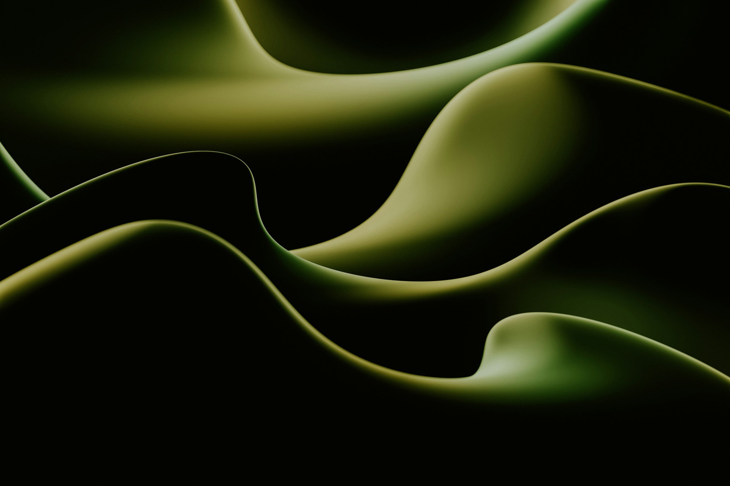 Close-up of curled green leaves with smooth edges and dark background.