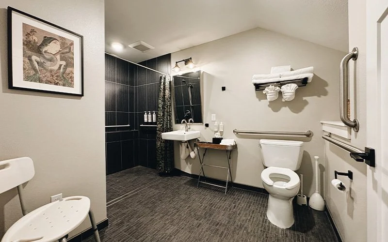 A clean and well-appointed bathroom with a toilet, sink, and shower.