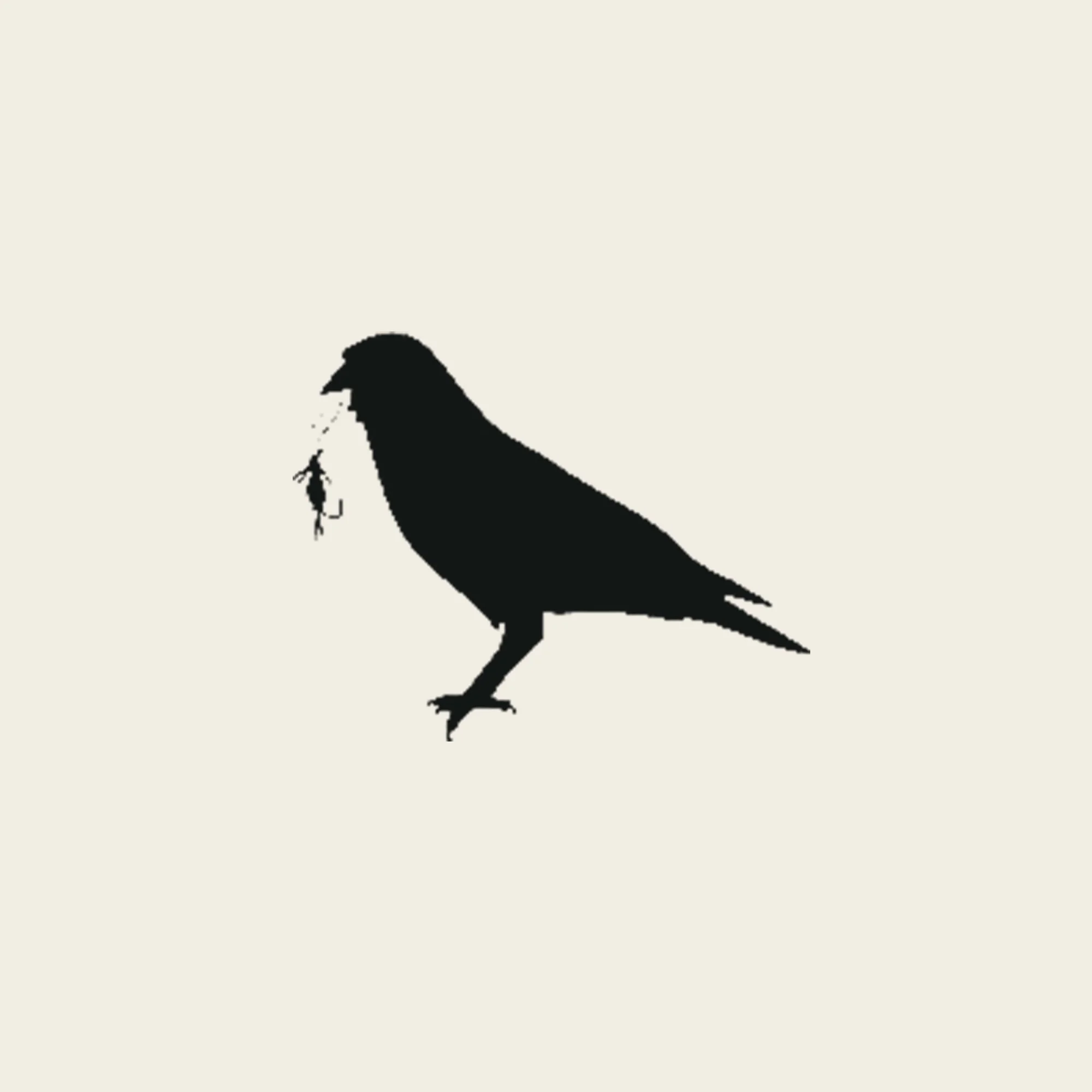 Silhouette of a crow on its legs, holding a small bird in its beak.