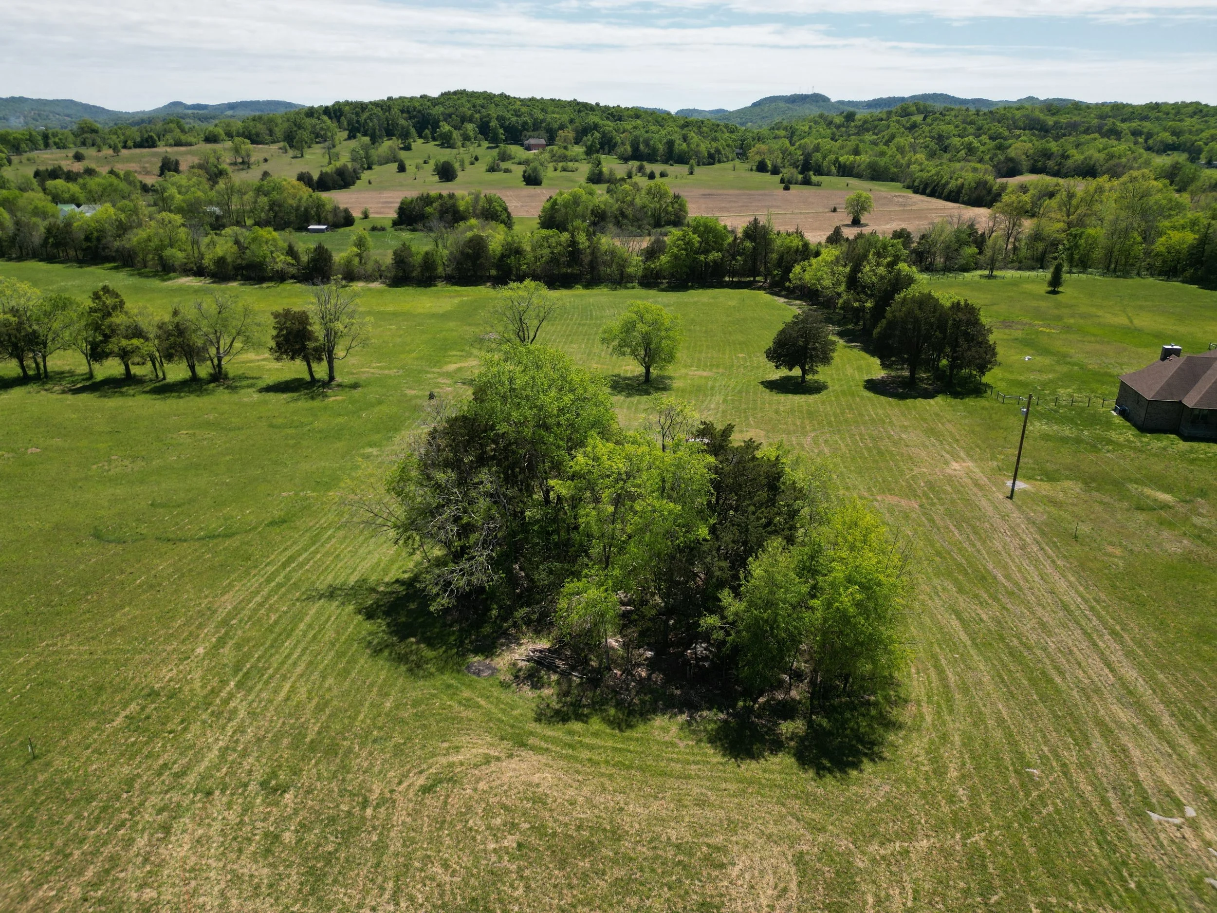 dji_fly_20230425_134154_103_1682448545277_photo.jpg