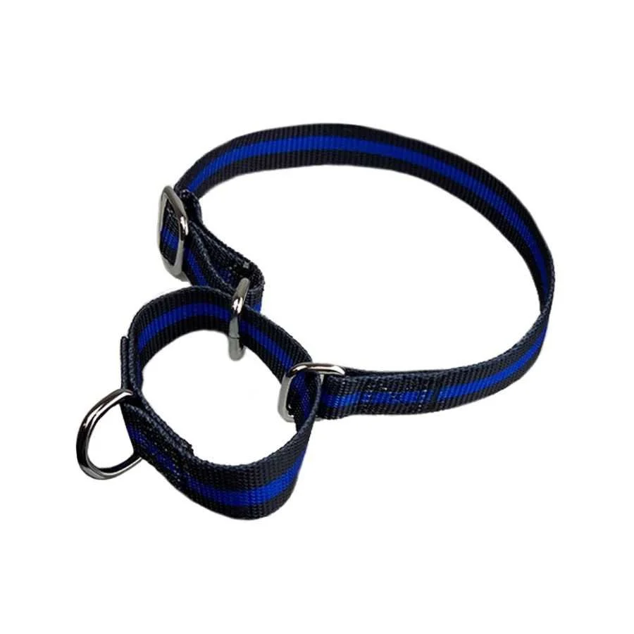Martingale Collar