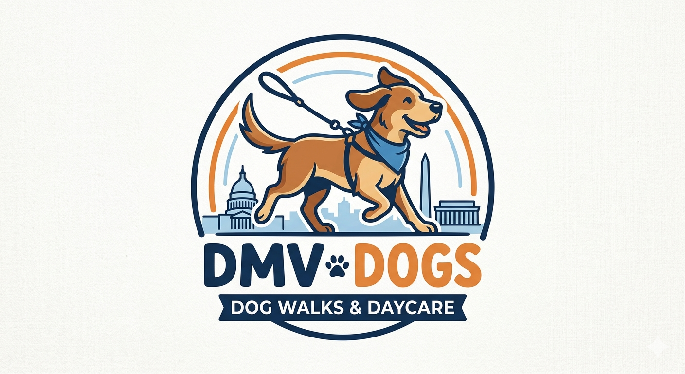 Logo for DMV Dogs dog walks and daycare featuring a happy dog wearing a blue bandana around its neck, walking on a leash with the Washington D.C. skyline in the background including the Capitol, Washington Monument, and Lincoln Memorial.