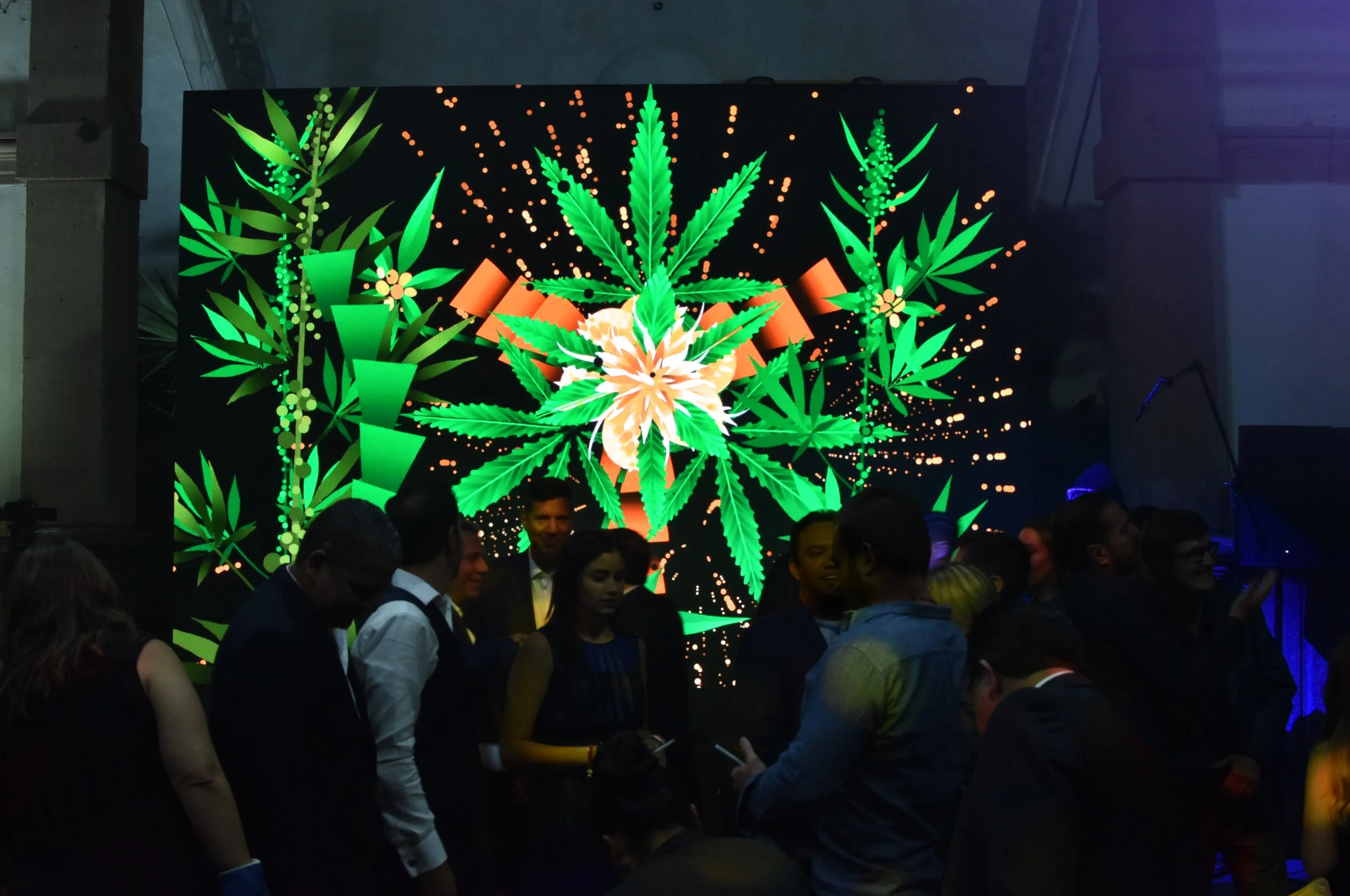 CBD Life 9.jpg