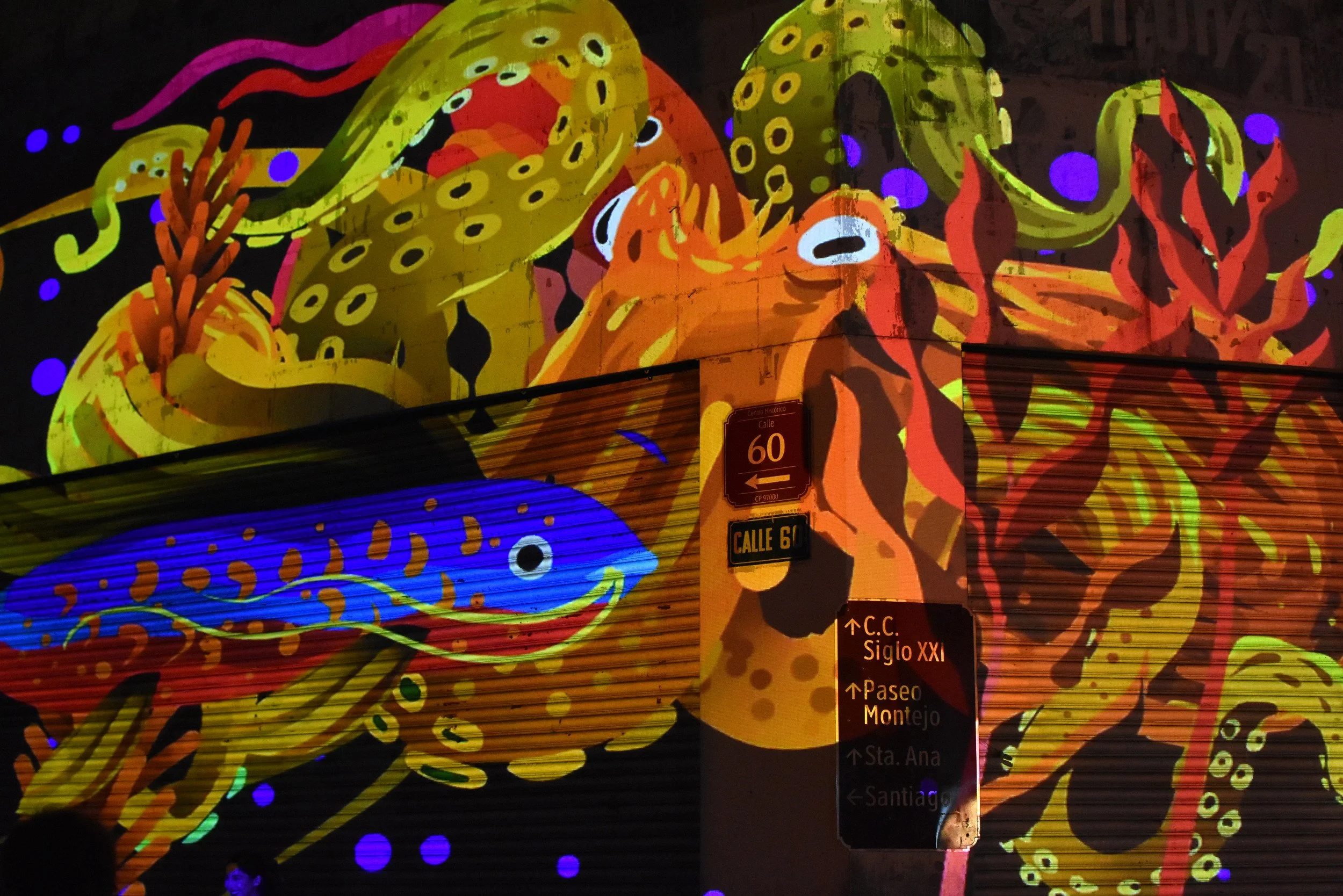Filux 2018 Pulpo Zoom.jpg