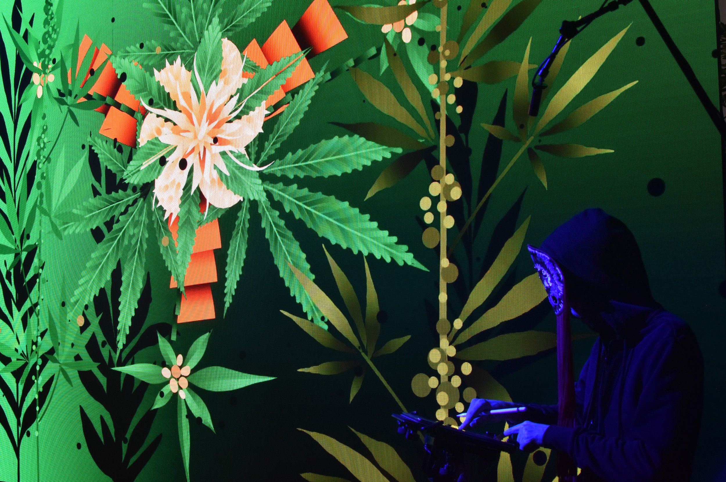 CBD Life 3.jpg