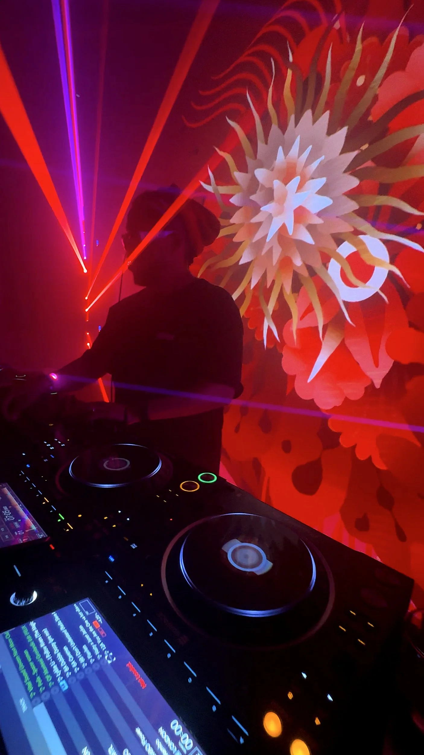 Live drawing and animation performance and digital art creation with Tagtool by Rimiyoho next to Felix Da Housecat Dj set