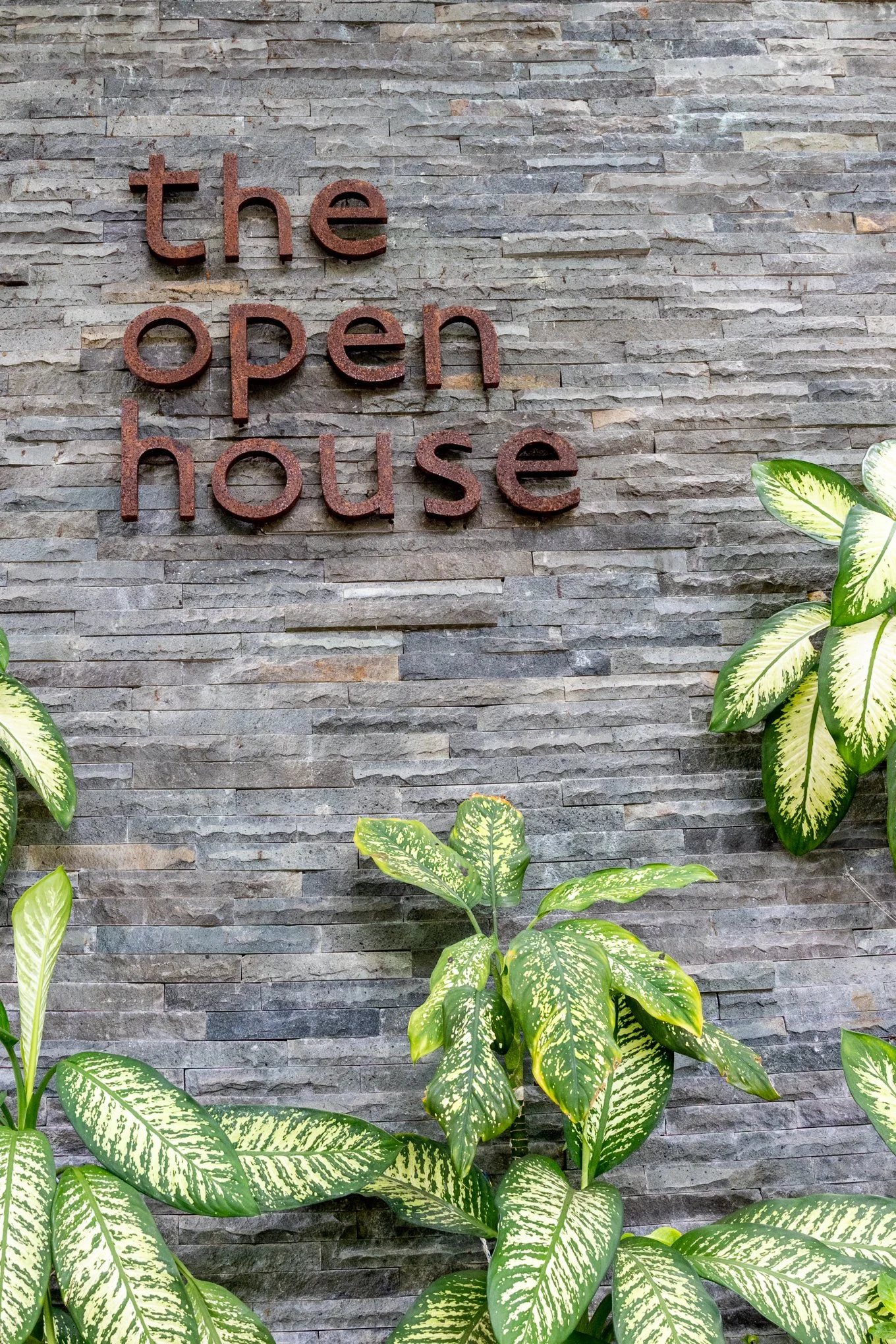 A textured stone wall with the words 'the open house' in rust-colored metal letters arranged vertically. Surrounding green variegated plants with broad leaves are in the foreground.