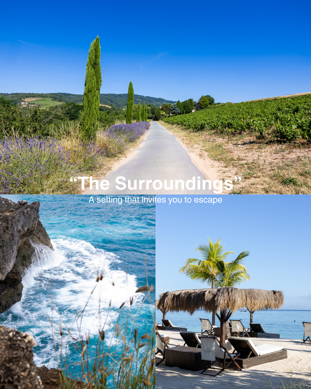 surroundings hotels and guesthouses