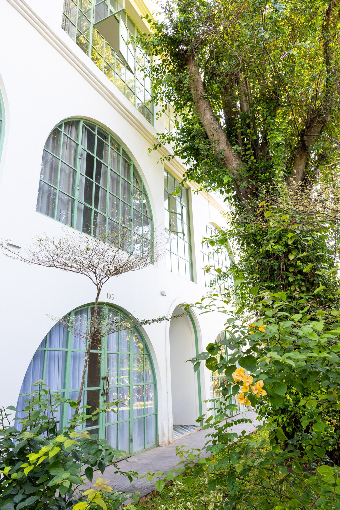 A white building with large arched windows and green frames surrounded by green trees and plants, with yellow flowers in the foreground.