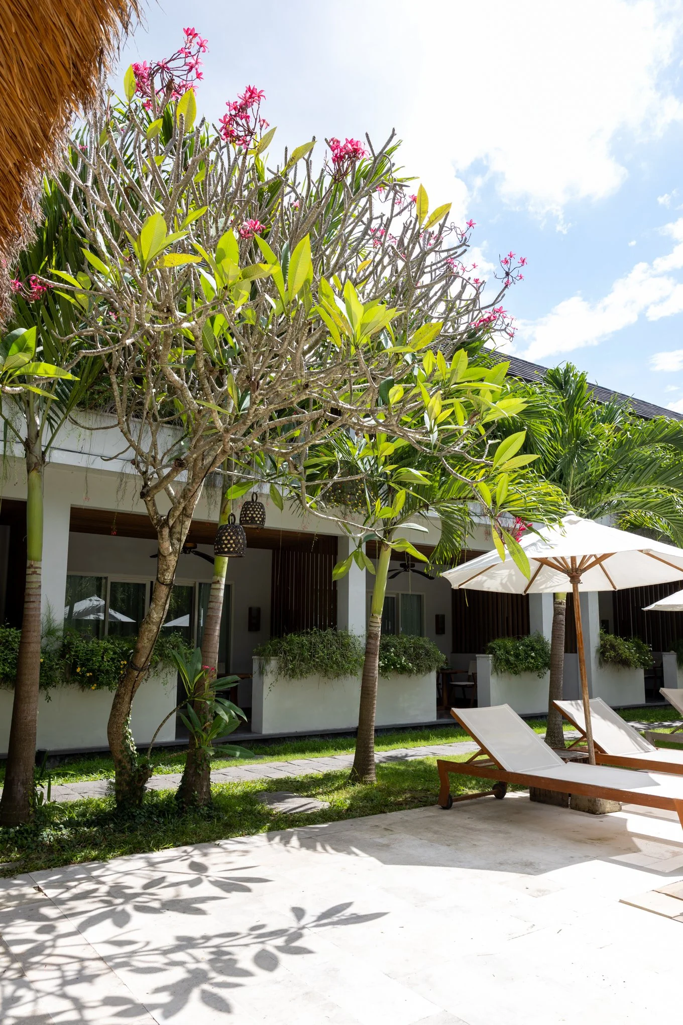 A sunny outdoor patio with lounge chairs under a large white umbrella, surrounded by lush greenery including palm trees, a flowering tree with pink blossoms, and potted plants, with a building featuring white walls and dark wood accents in the backgr