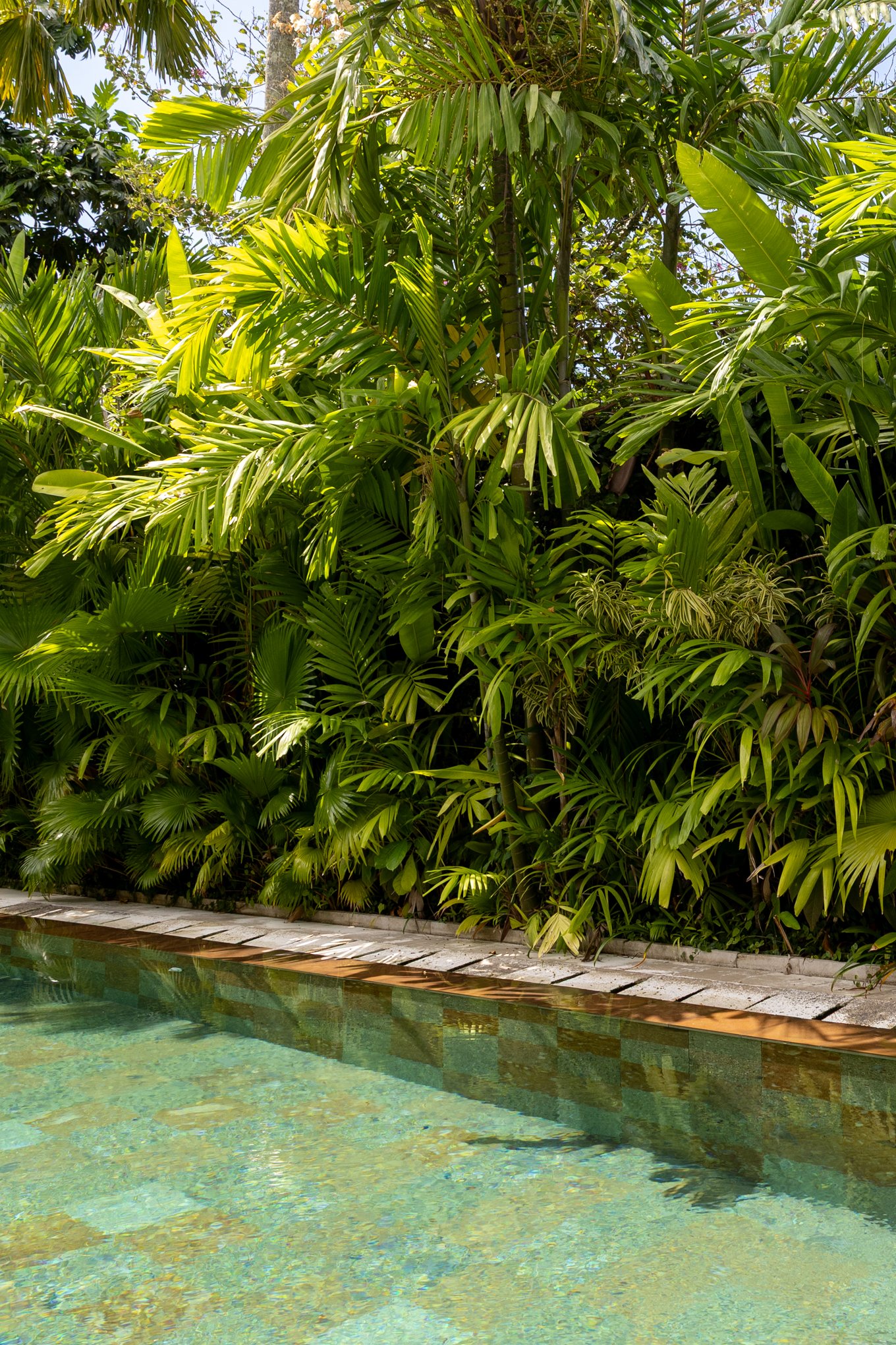 A lush tropical garden with large green leaves and various plants, with part of a swimming pool's edge and water visible in the foreground.