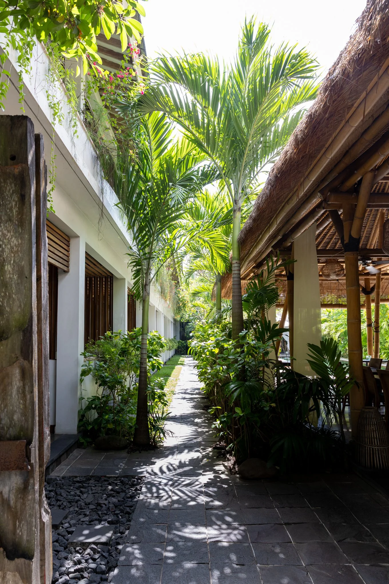 A tropical outdoor courtyard with a stone pathway bordered by lush green plants and trees, including tall palm trees, with a white building on the left and a thatched roof on the right, under bright sunlight and a partly sunny sky.