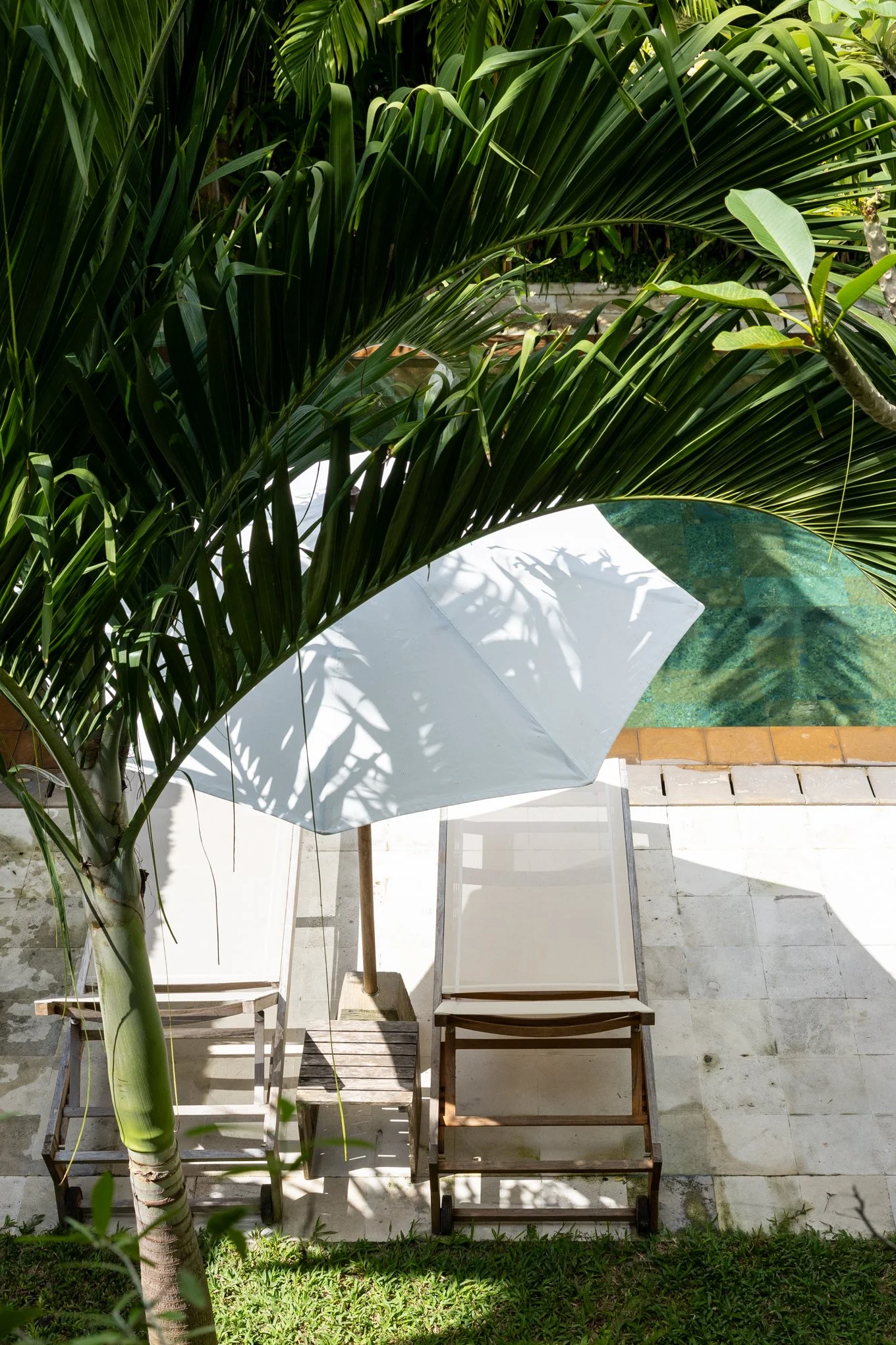 A poolside scene with two wooden lounge chairs with white cushions, a white patio umbrella, and lush green palm trees casting shadows on the ground.