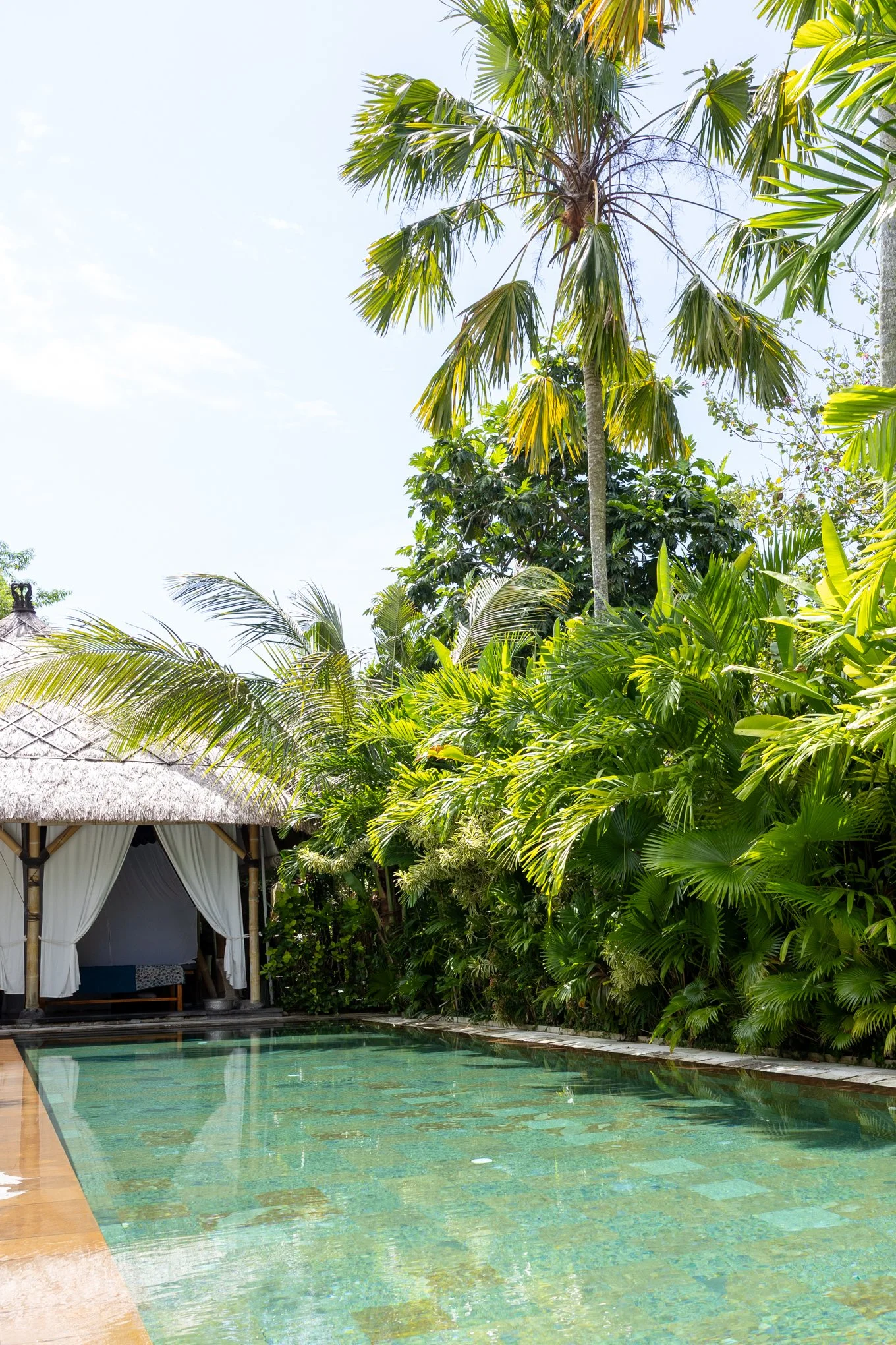 A tropical scene featuring a swimming pool surrounded by lush green tropical plants and tall palm trees. There is a thatched-roof hut with white curtains on the left side of the image.