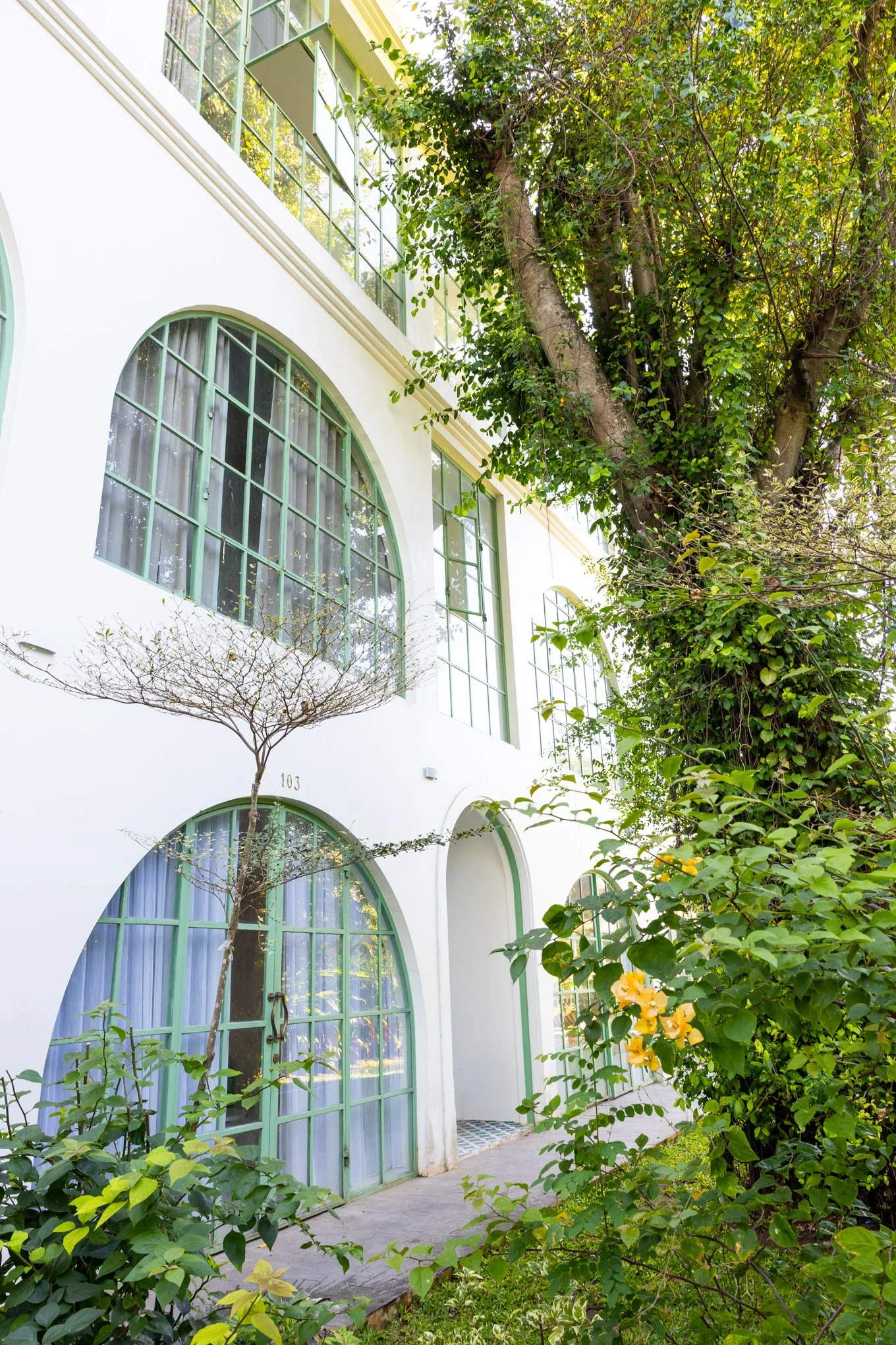 A white building with large green-framed arched windows, surrounded by green foliage including a tree with a thin trunk and a flowering bush with yellow flowers.