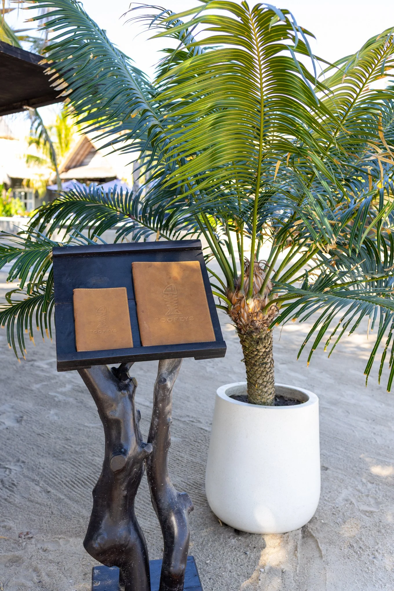A potted palm tree, a wooden table with leather menu covers, and a wooden sculpture on a sandy outdoor area.