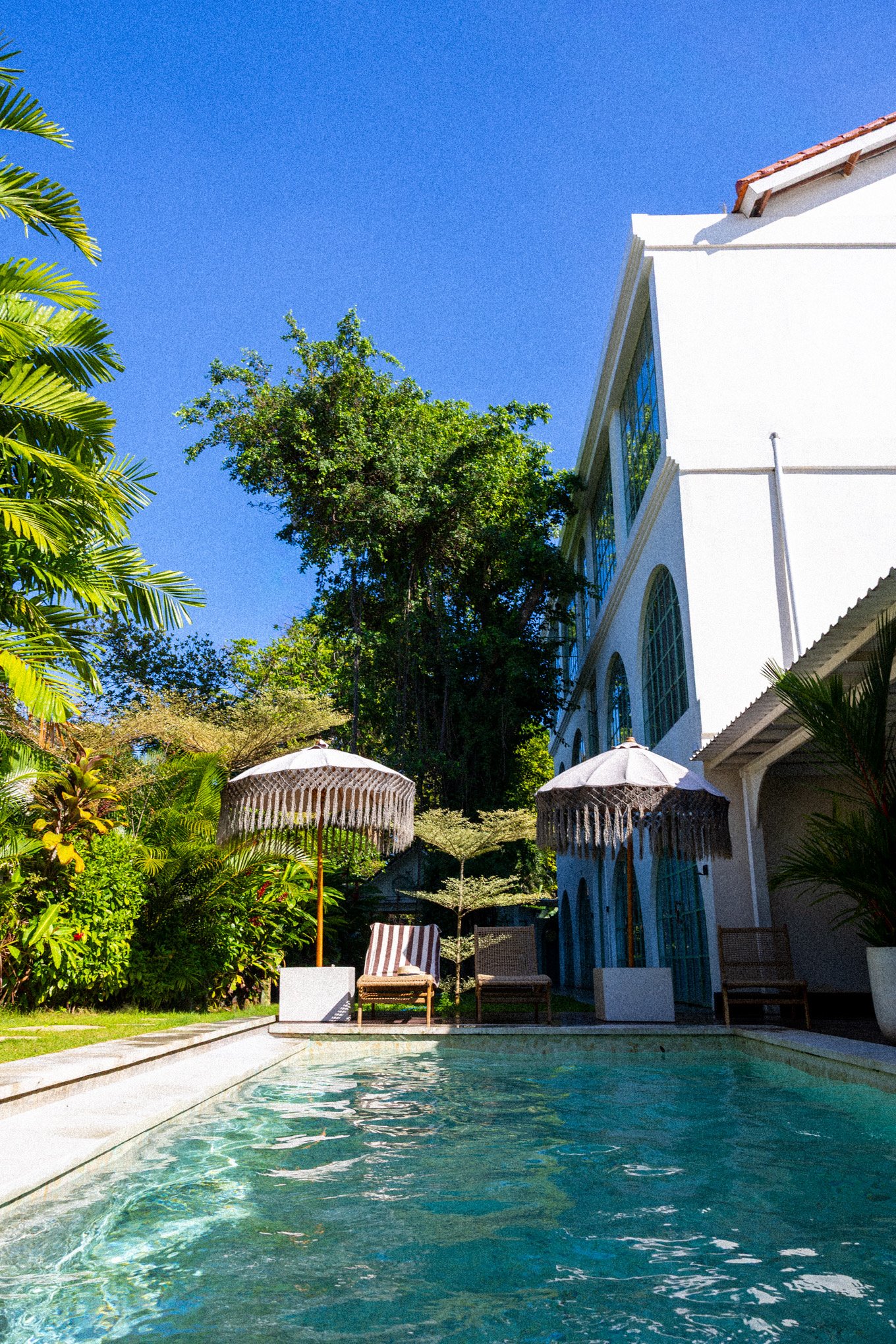 A backyard with a swimming pool surrounded by green plants and trees, white parasols, and outdoor furniture beside a white building with large windows against a clear blue sky.