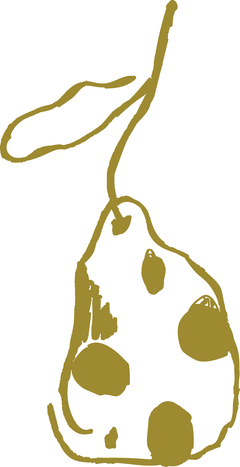 Line drawing of a plant with a pear-shaped leaf cluster, a smaller leaf, and a tall, thin stem against a black background.