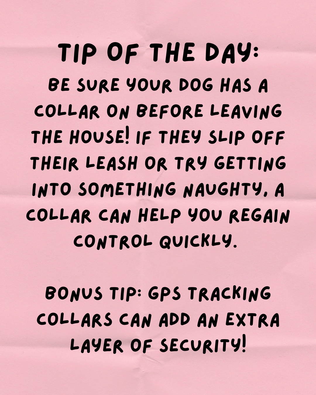 Dog Collar Safety