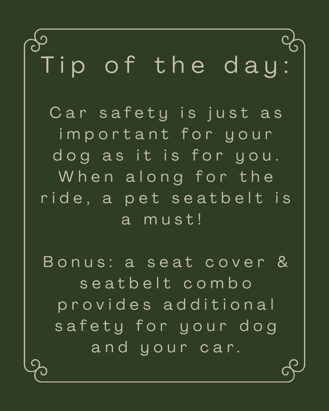 Car Ride Safety