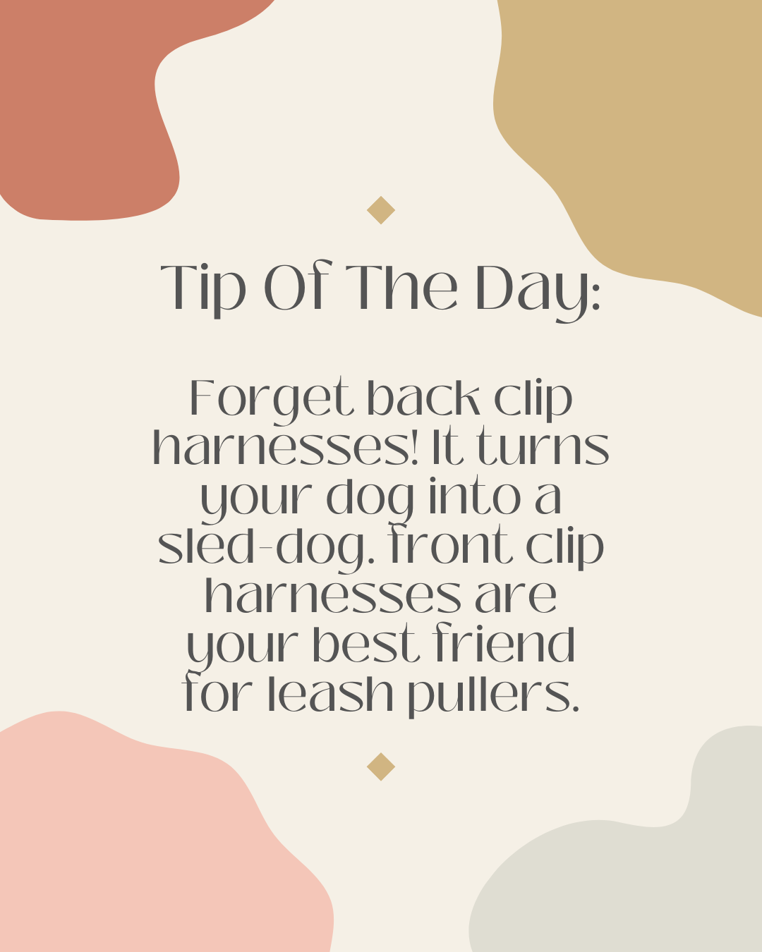 Why I Don’t Use a Back Clip Harness