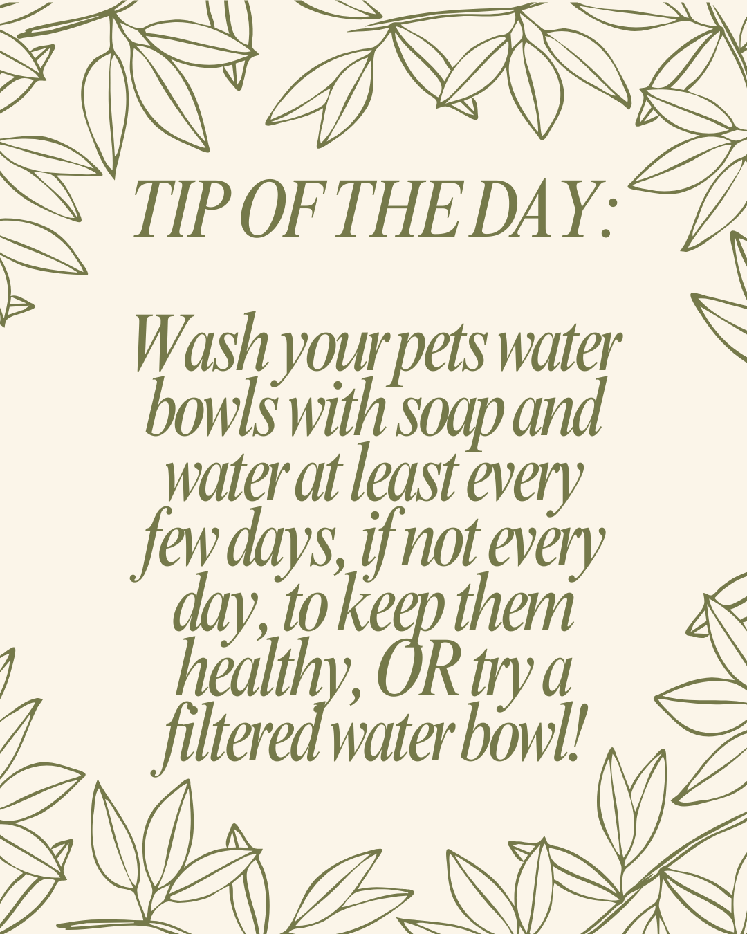Keep The Yuck Out Of Your Water